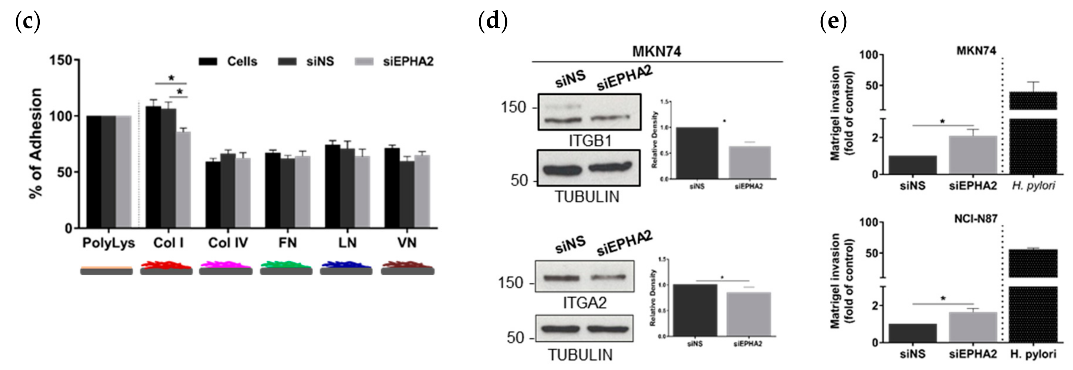 Cells 09 00513 g003b