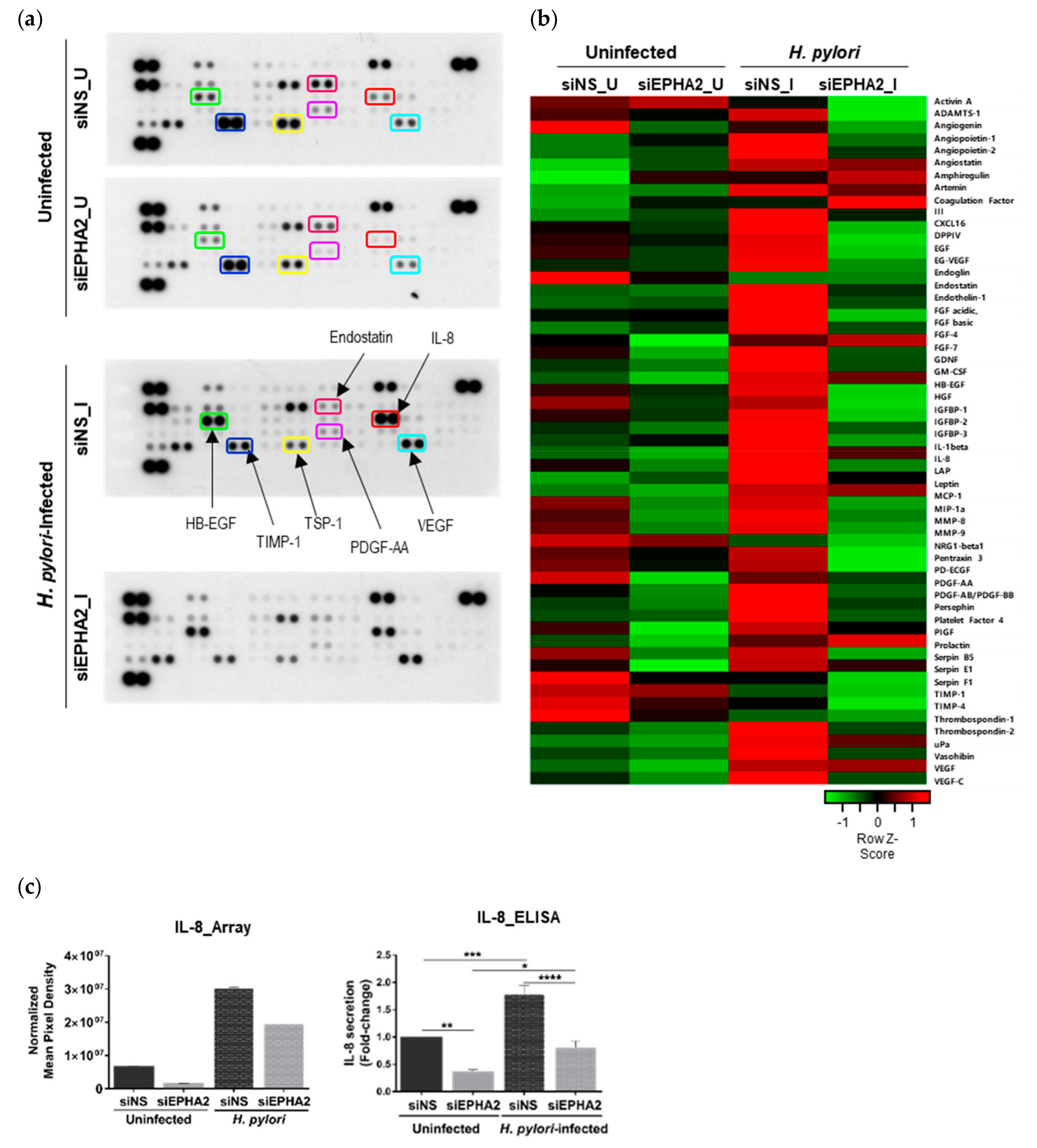 Cells 09 00513 g004