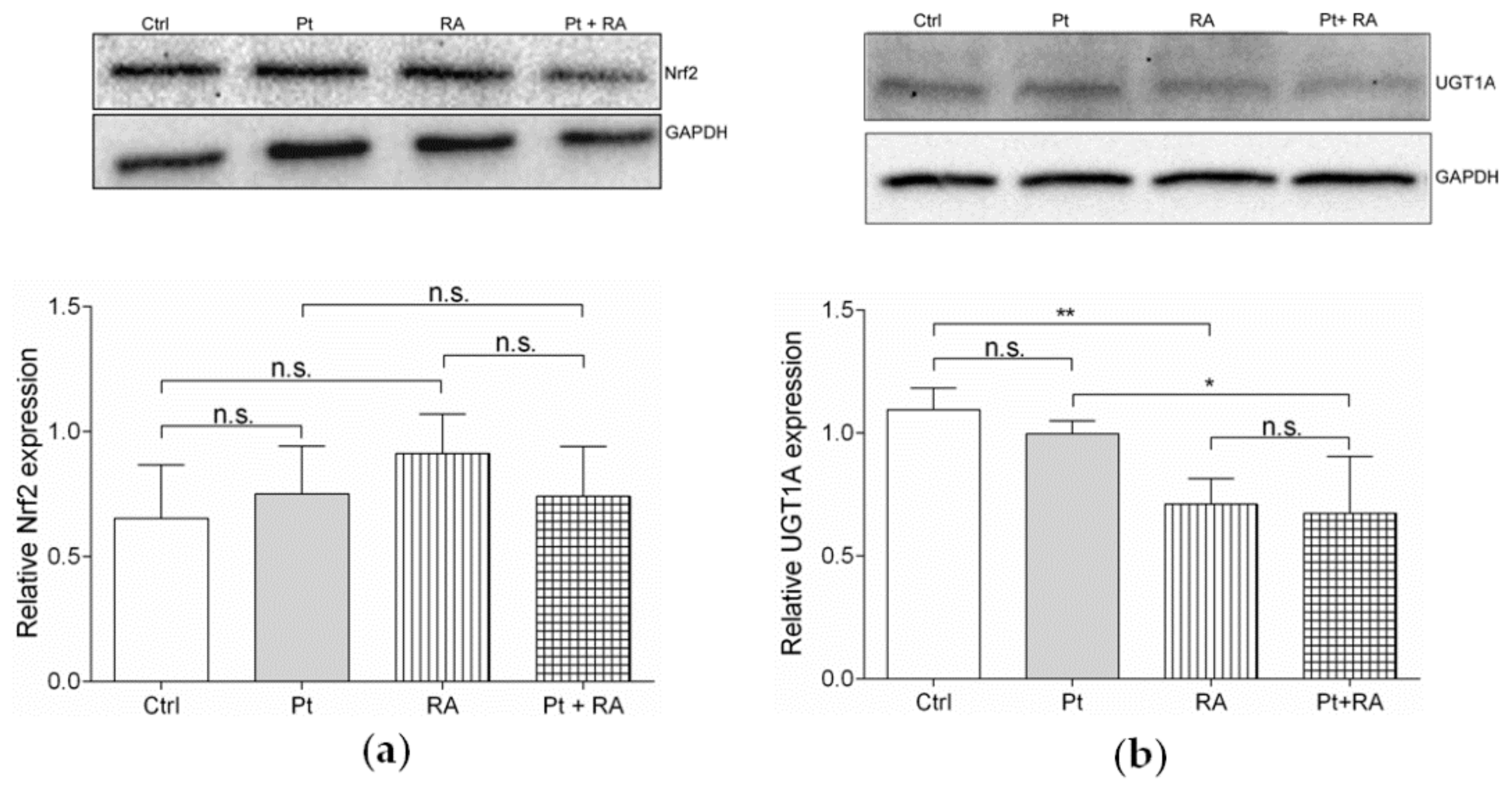 Cells 09 00515 g008 Cells 09 00515 g008