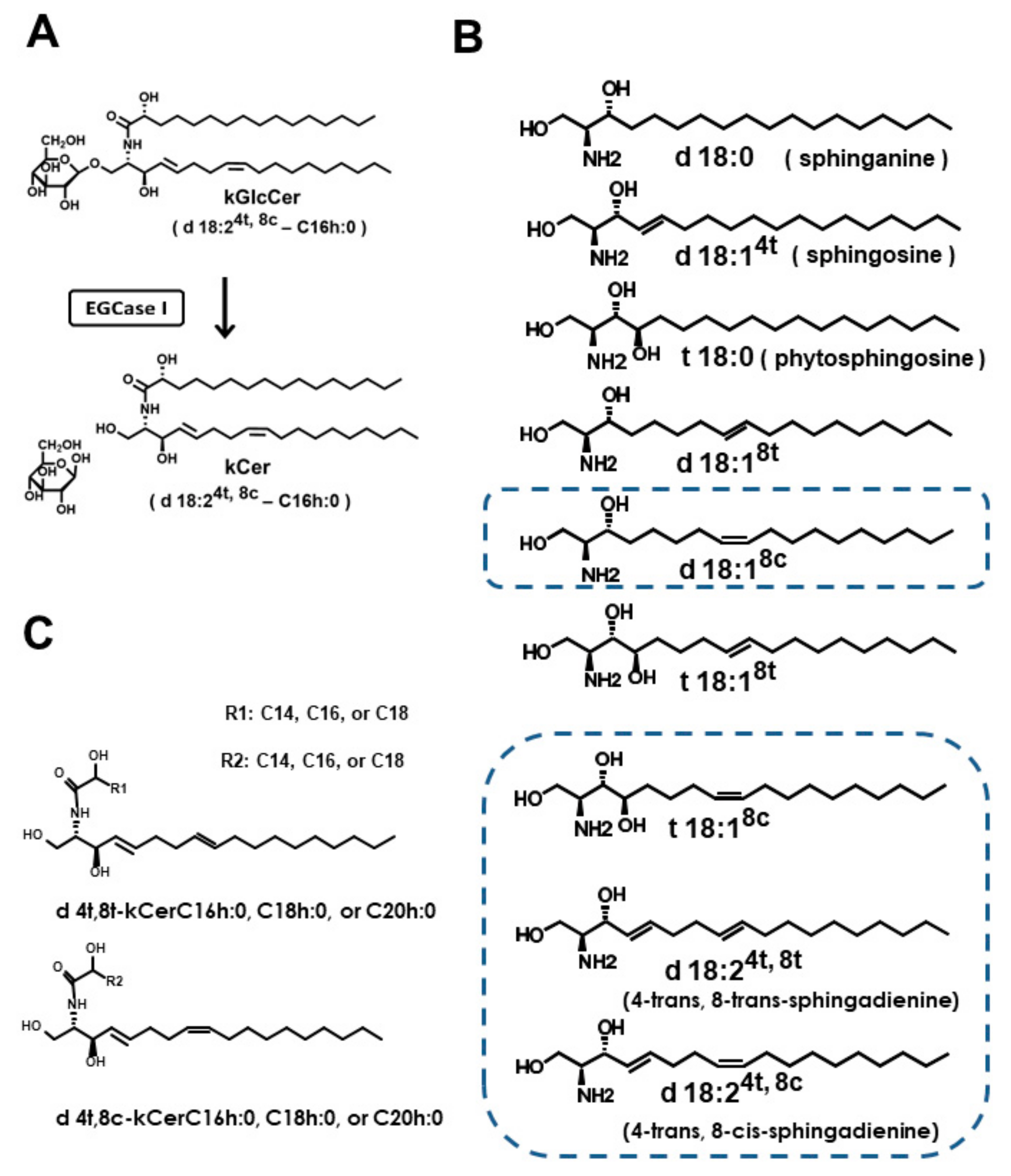 Cells 09 00517 g001 Cells 09 00517 g001