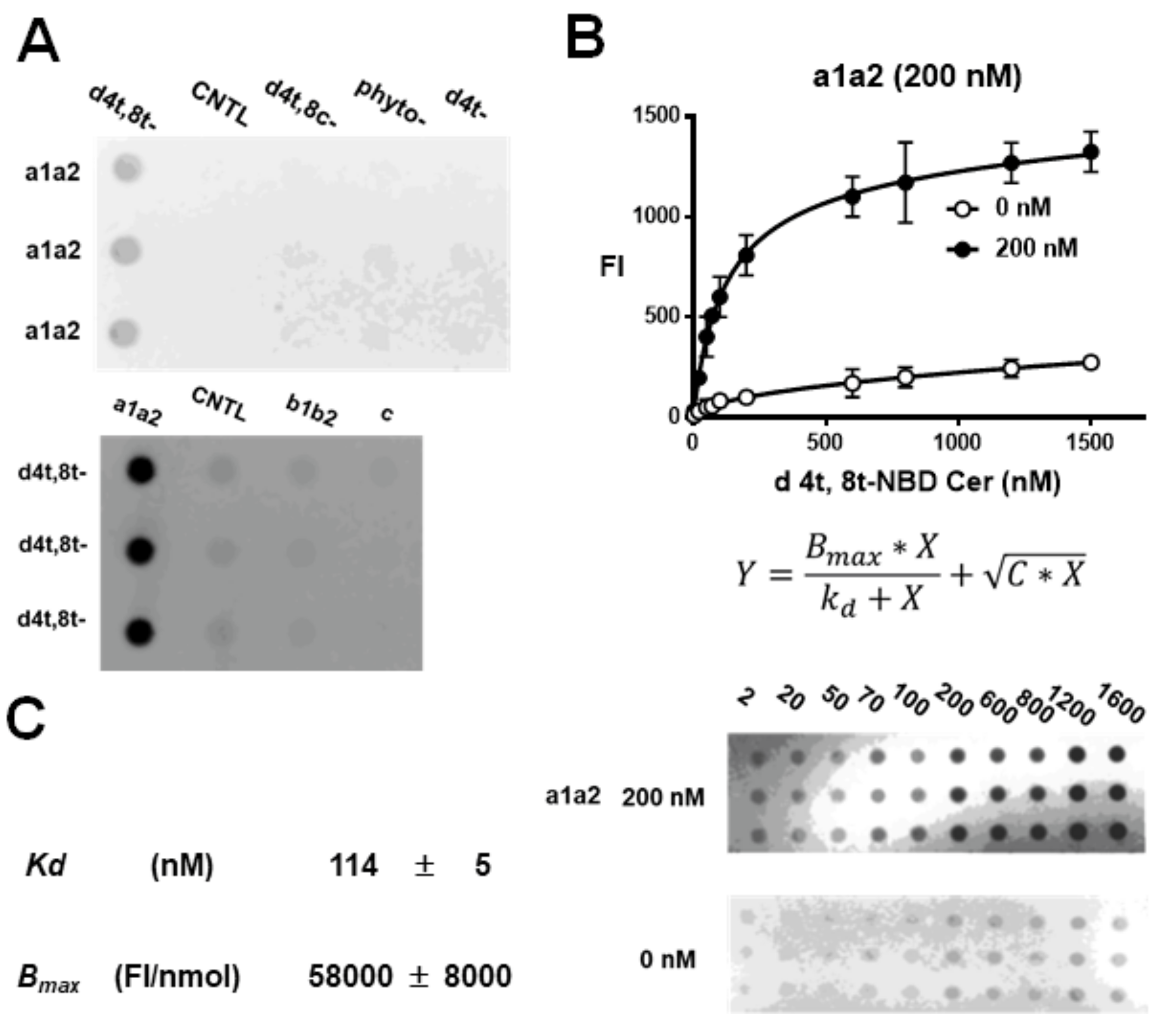 Cells 09 00517 g004 Cells 09 00517 g004