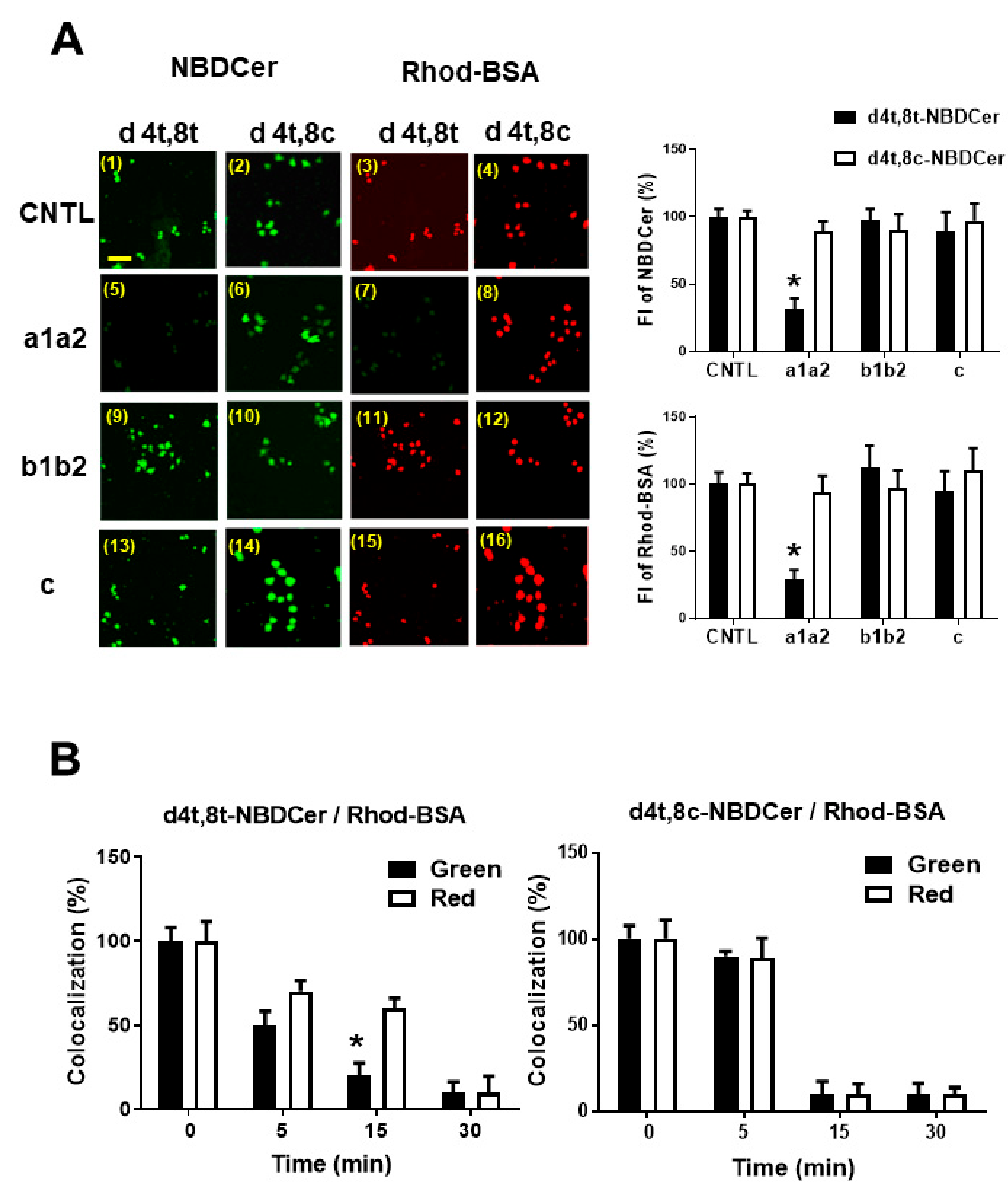 Cells 09 00517 g006 Cells 09 00517 g006