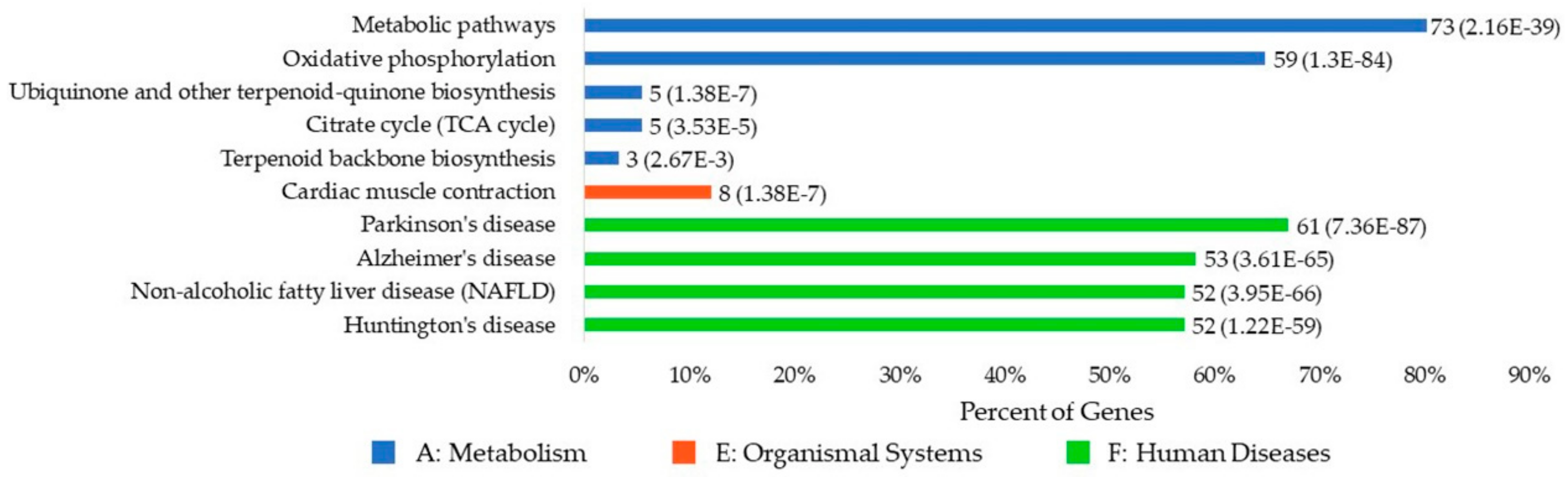Cells 09 00520 g007 Cells 09 00520 g007