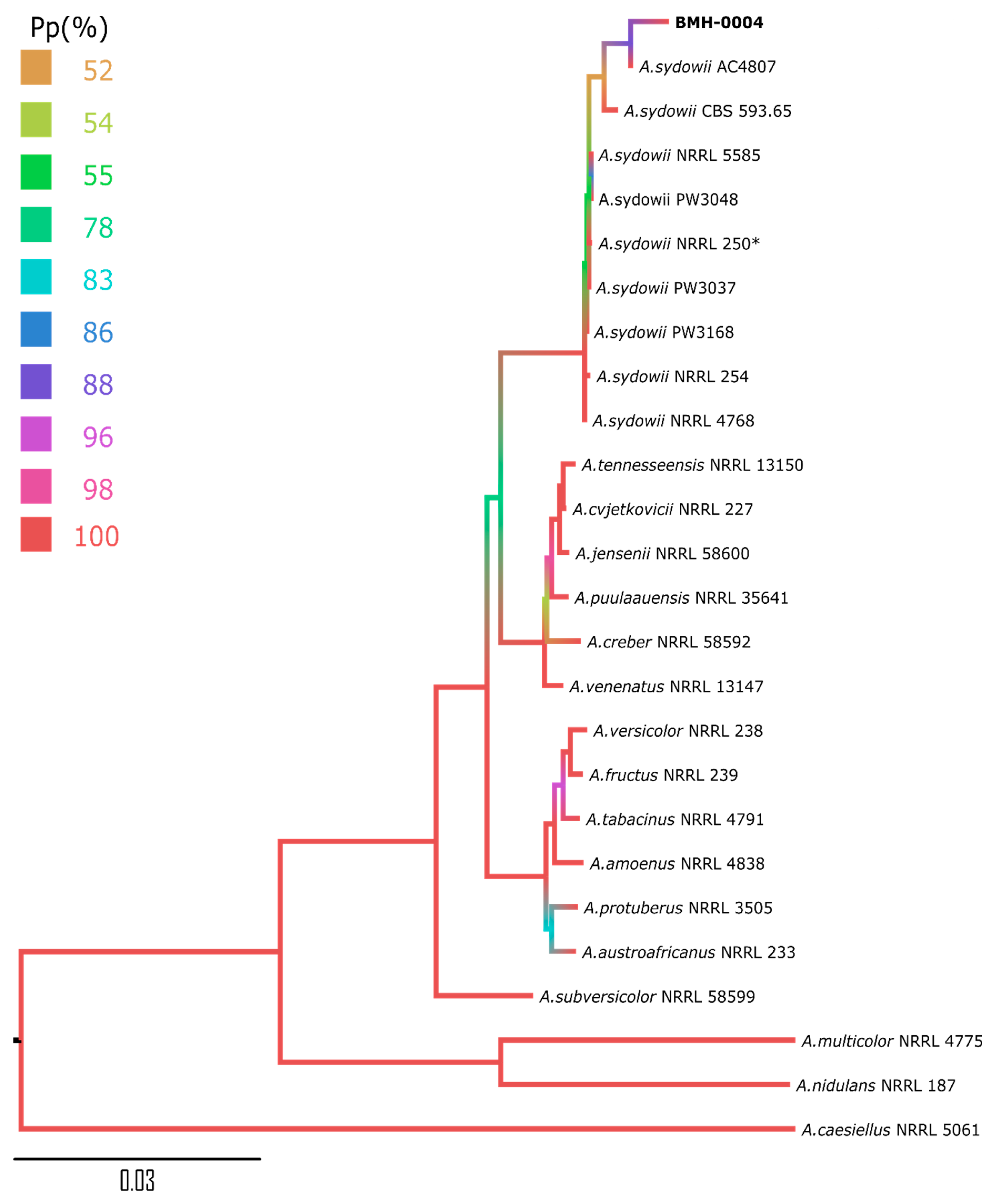 Cells 09 00525 g001 Cells 09 00525 g001