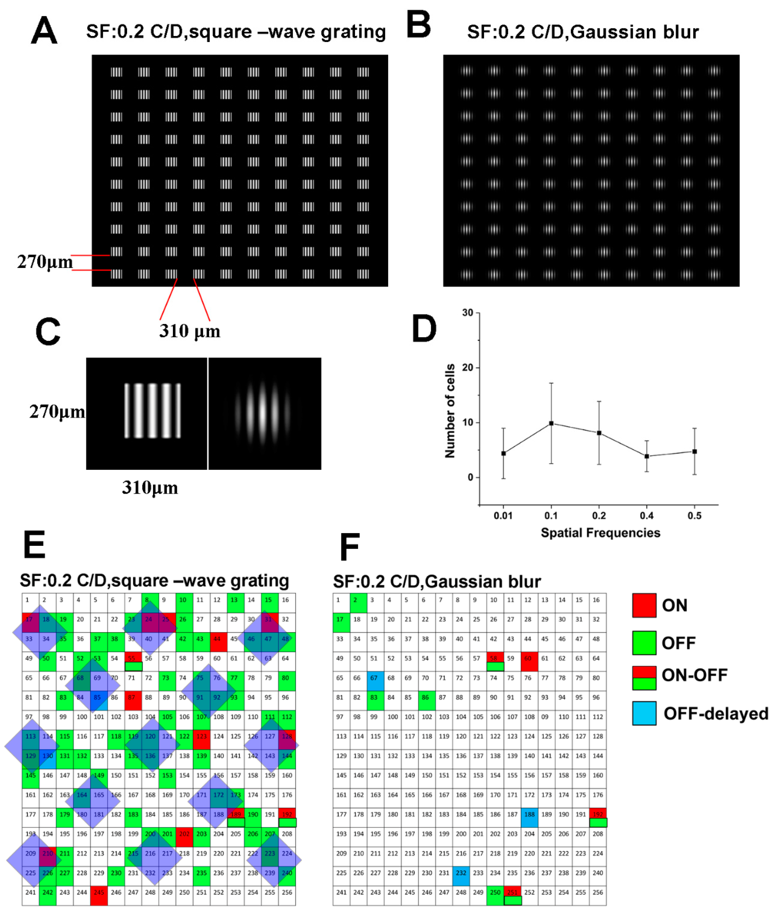 Cells 09 00530 g003 Cells 09 00530 g003