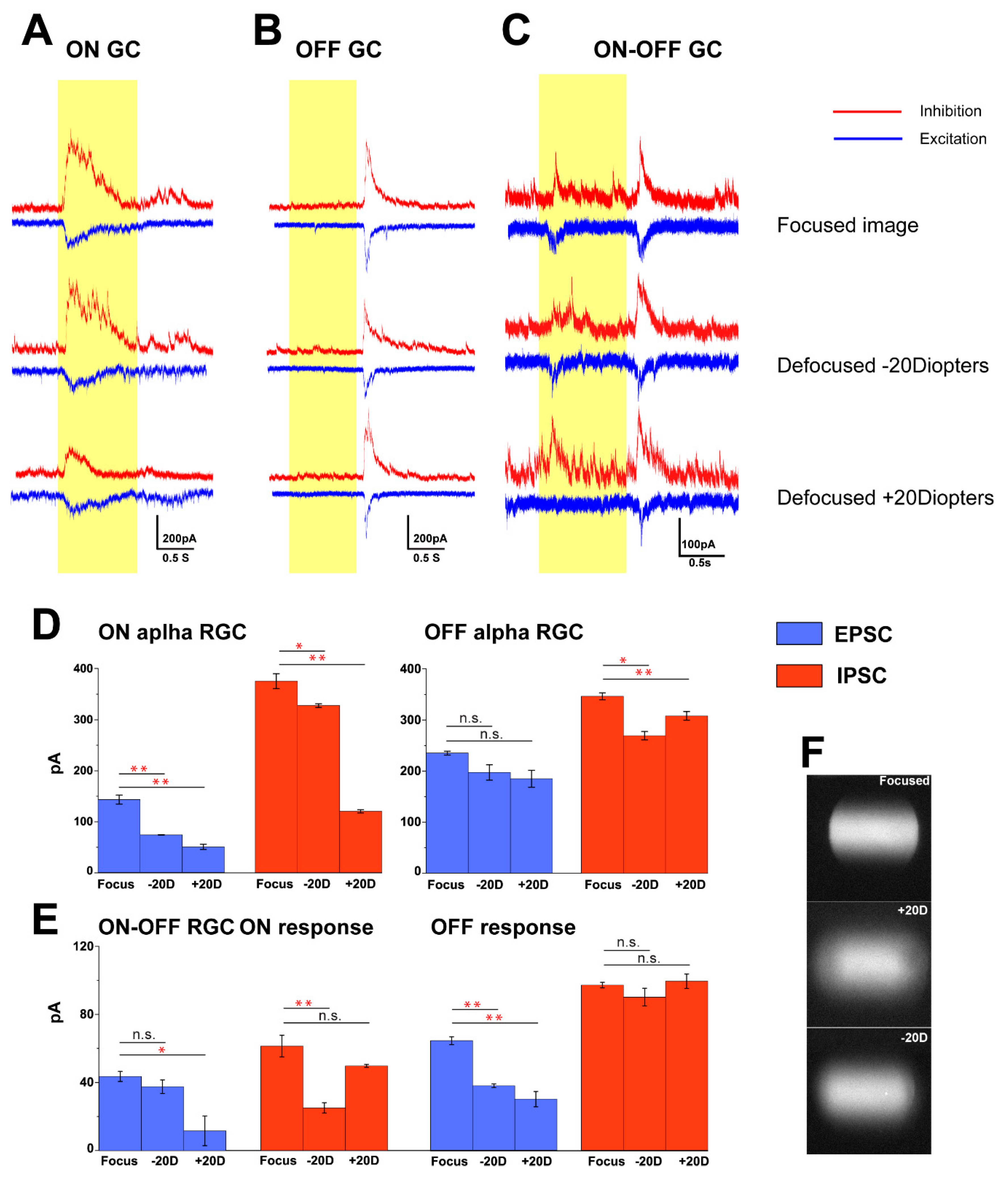 Cells 09 00530 g005 Cells 09 00530 g005