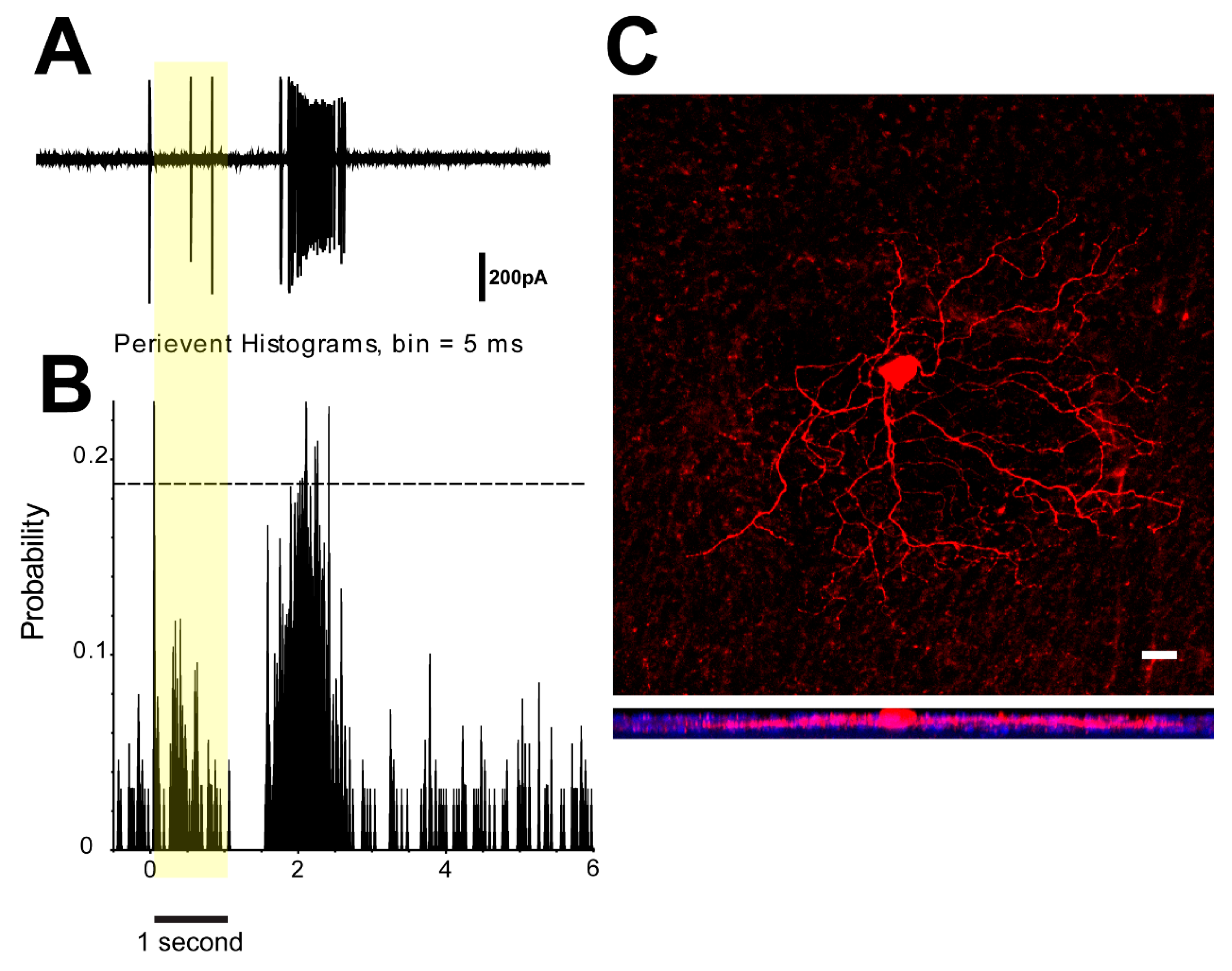Cells 09 00530 g006 Cells 09 00530 g006