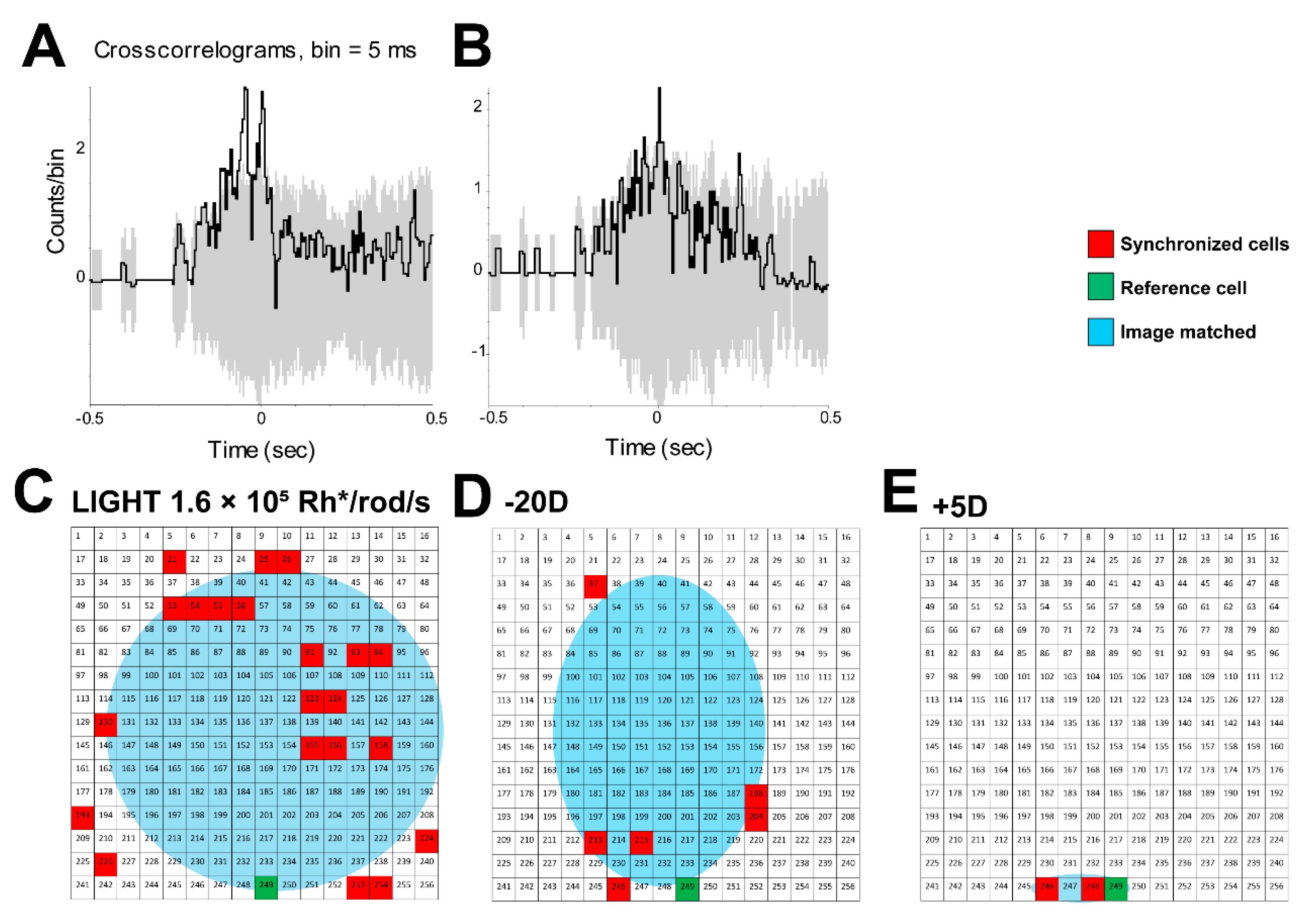 Cells 09 00530 g007 Cells 09 00530 g007