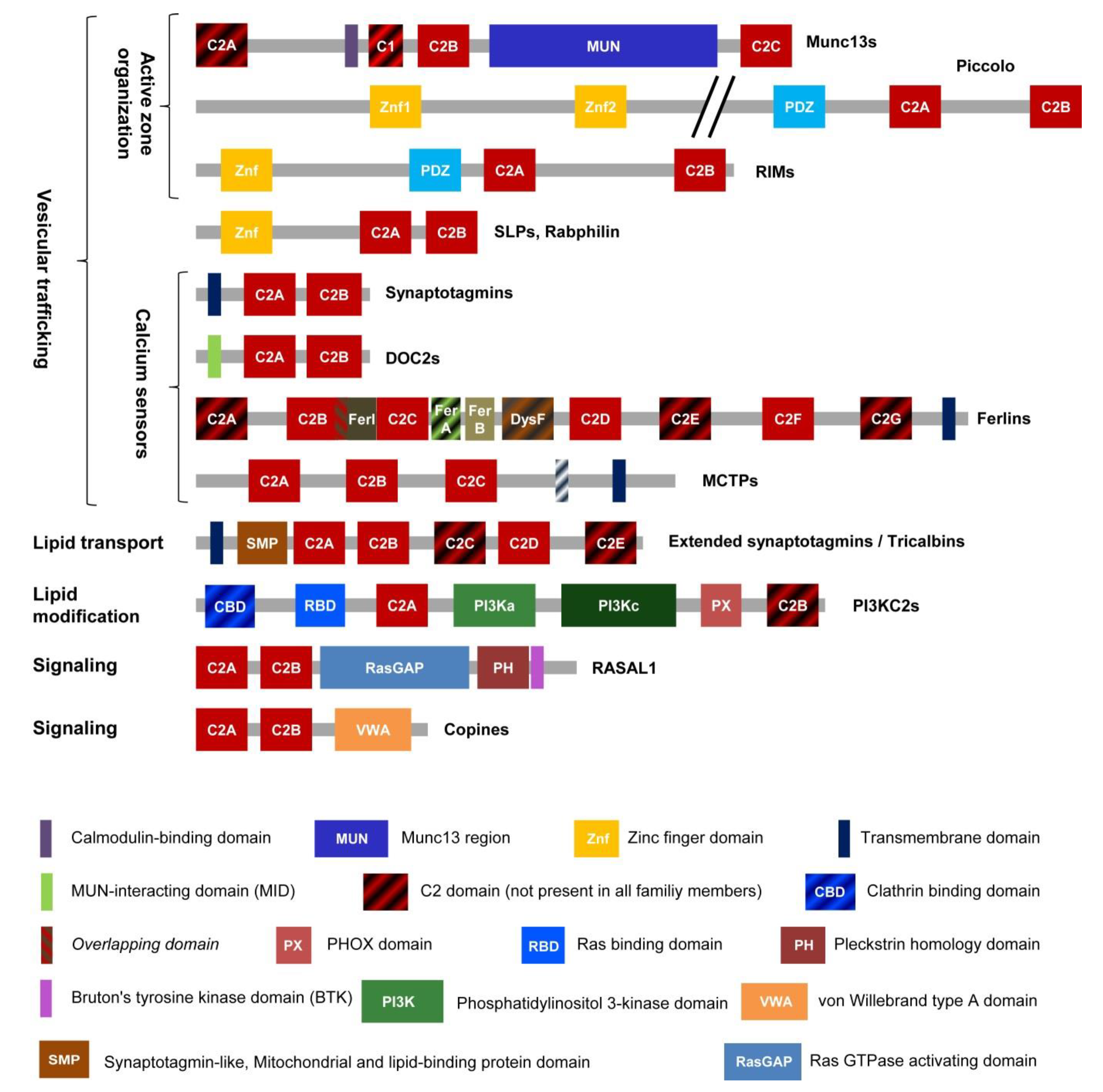 Cells 09 00534 g001 Cells 09 00534 g001