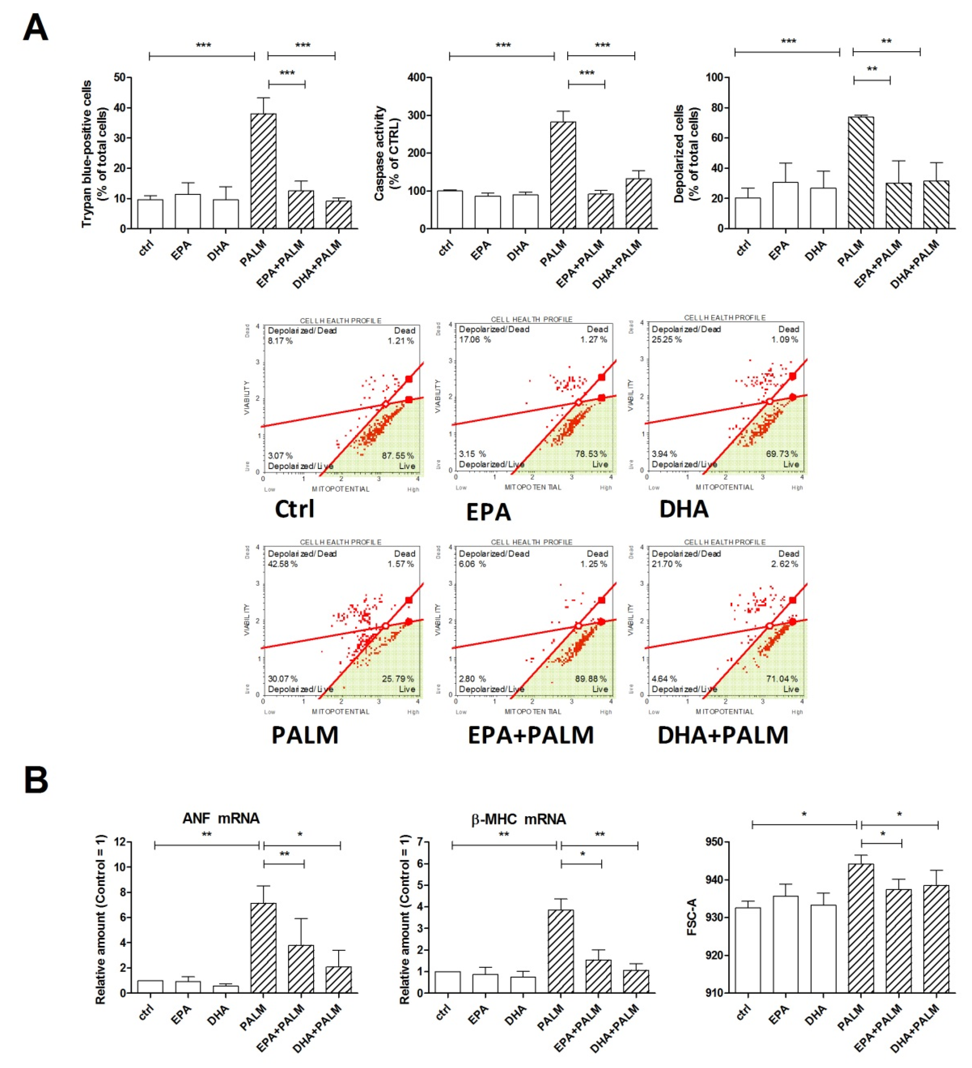 Cells 09 00537 g001 Cells 09 00537 g001