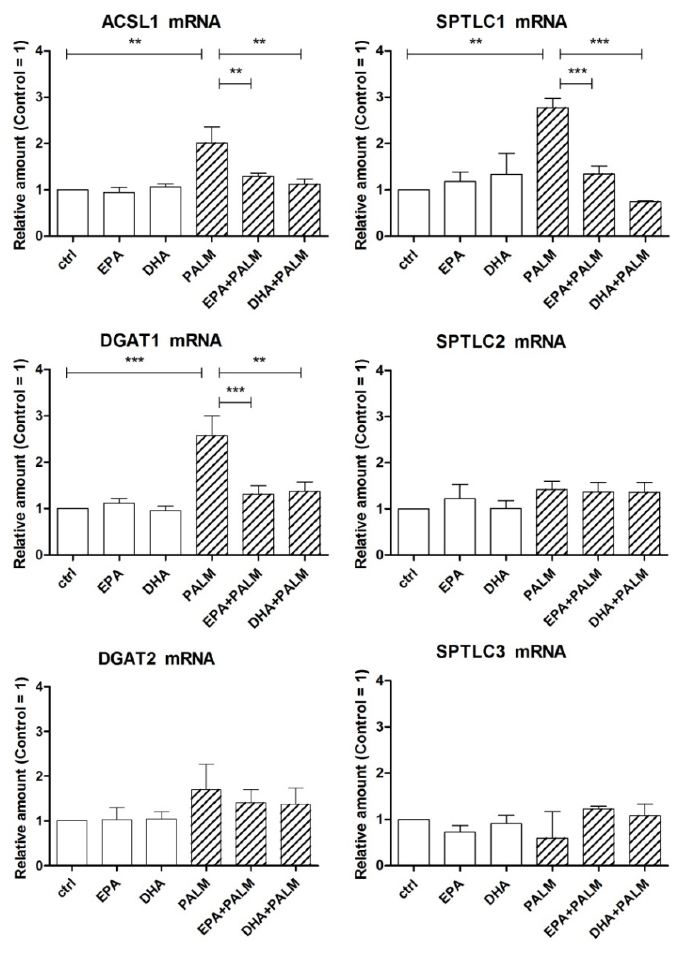 Cells 09 00537 g003 Cells 09 00537 g003
