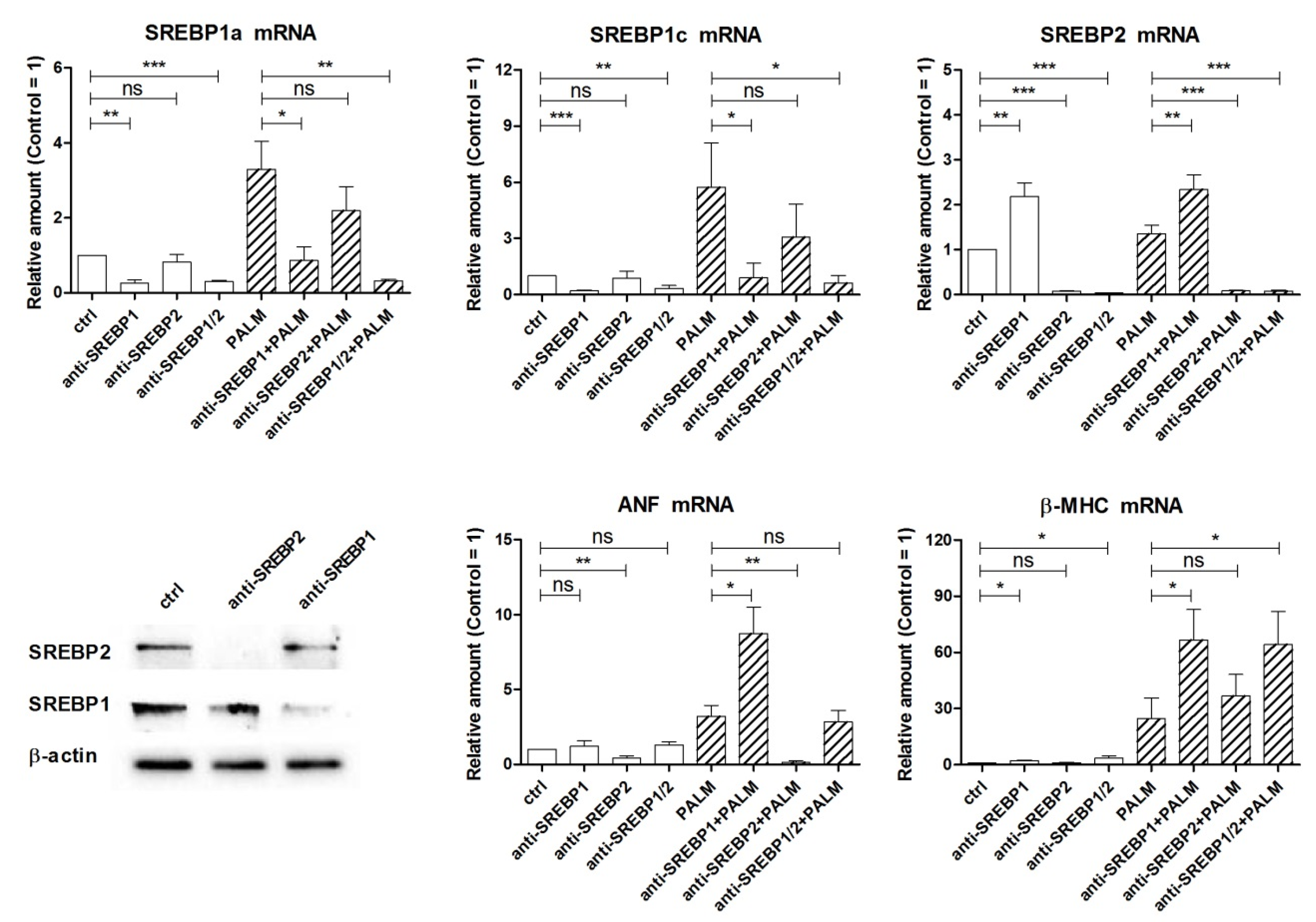 Cells 09 00537 g006 Cells 09 00537 g006