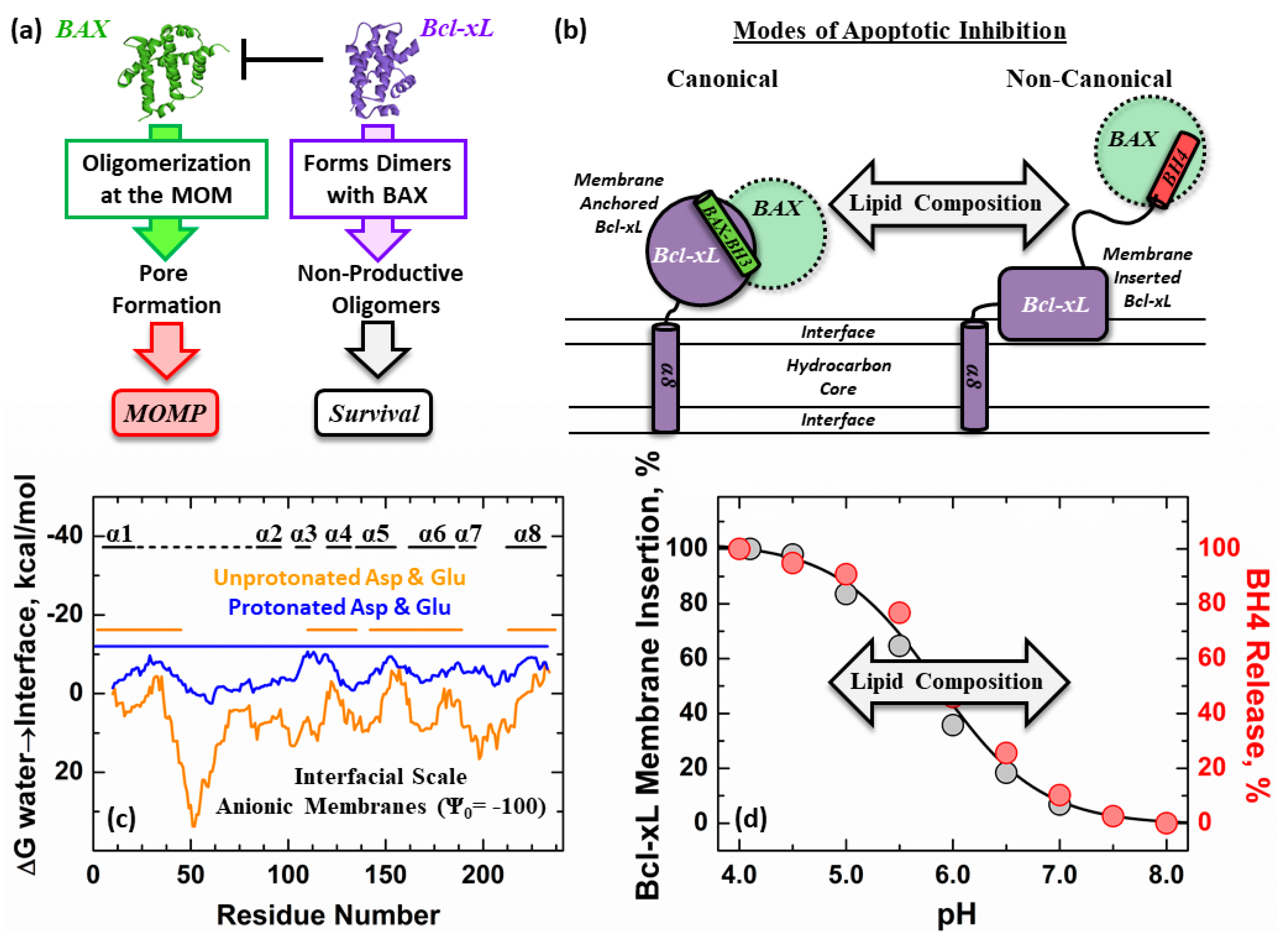 Cells 09 00539 g001 Cells 09 00539 g001
