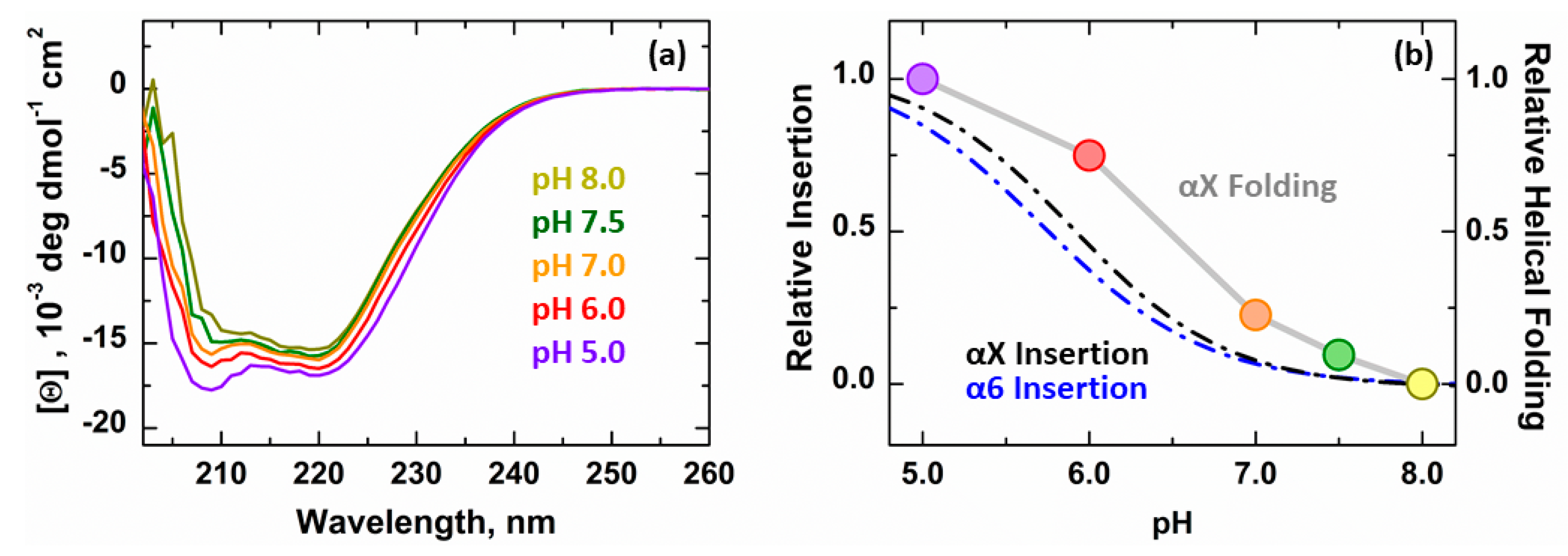 Cells 09 00539 g004 Cells 09 00539 g004