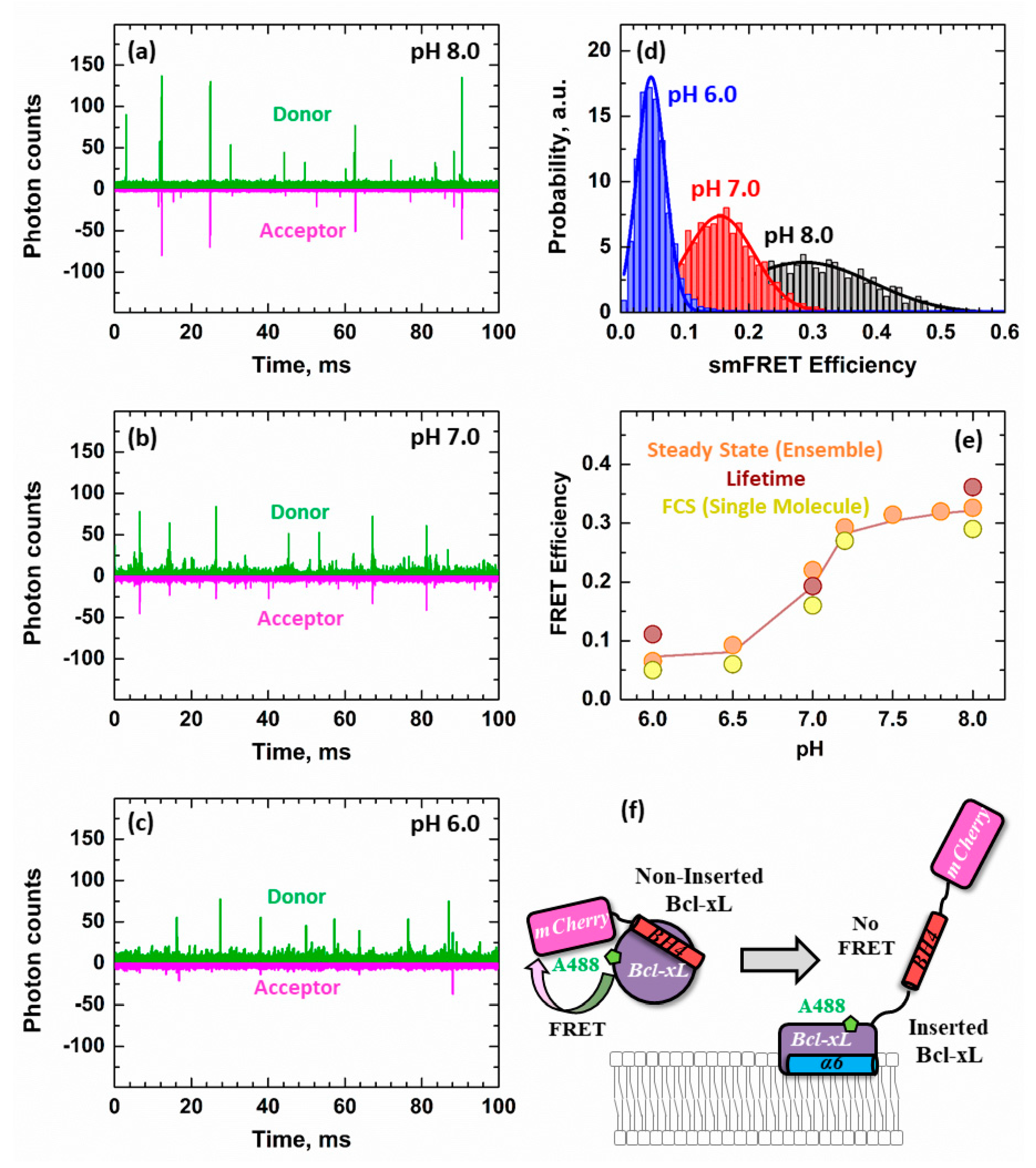 Cells 09 00539 g006 Cells 09 00539 g006