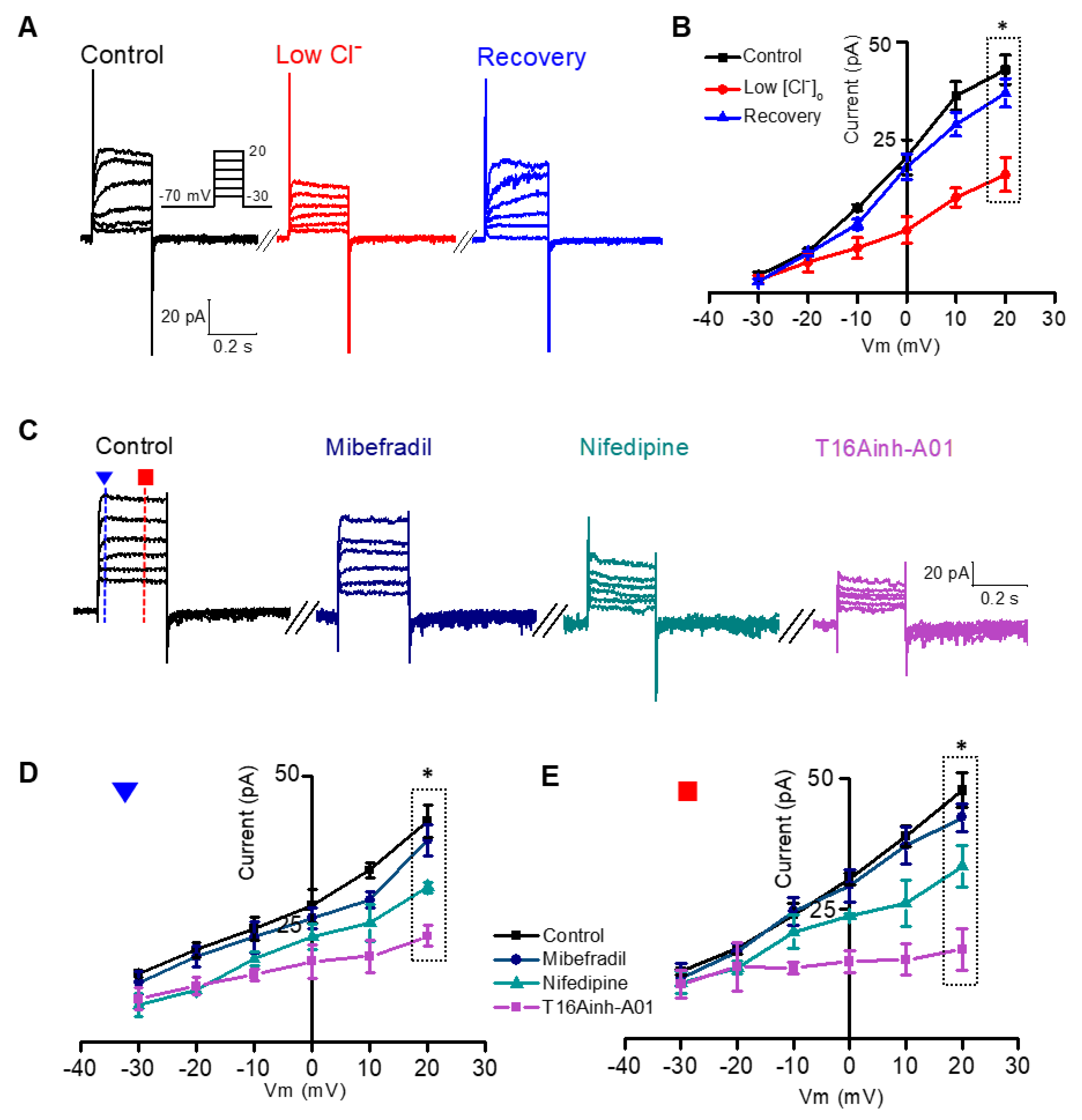 Cells 09 00543 g002 Cells 09 00543 g002