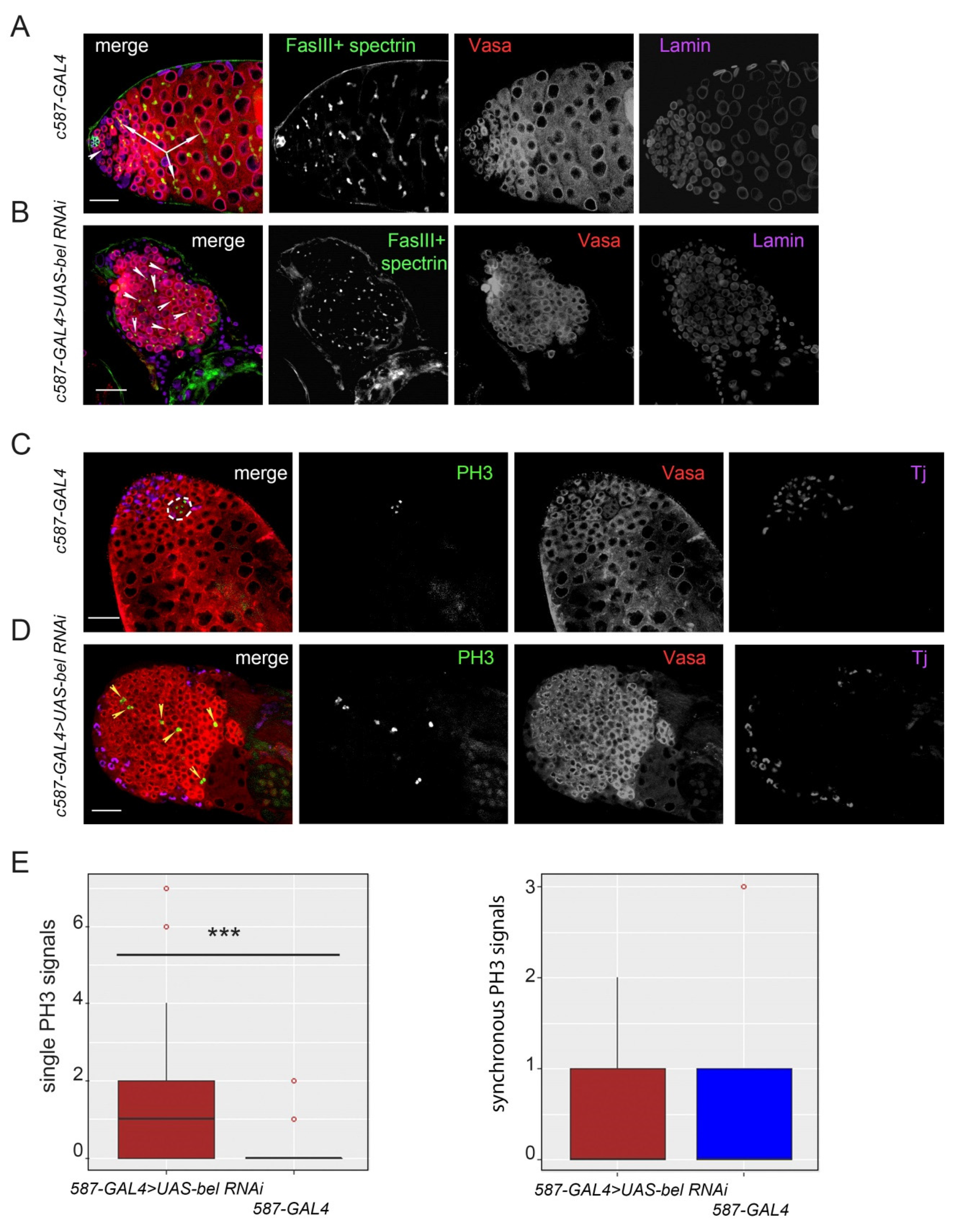 Cells 09 00550 g002