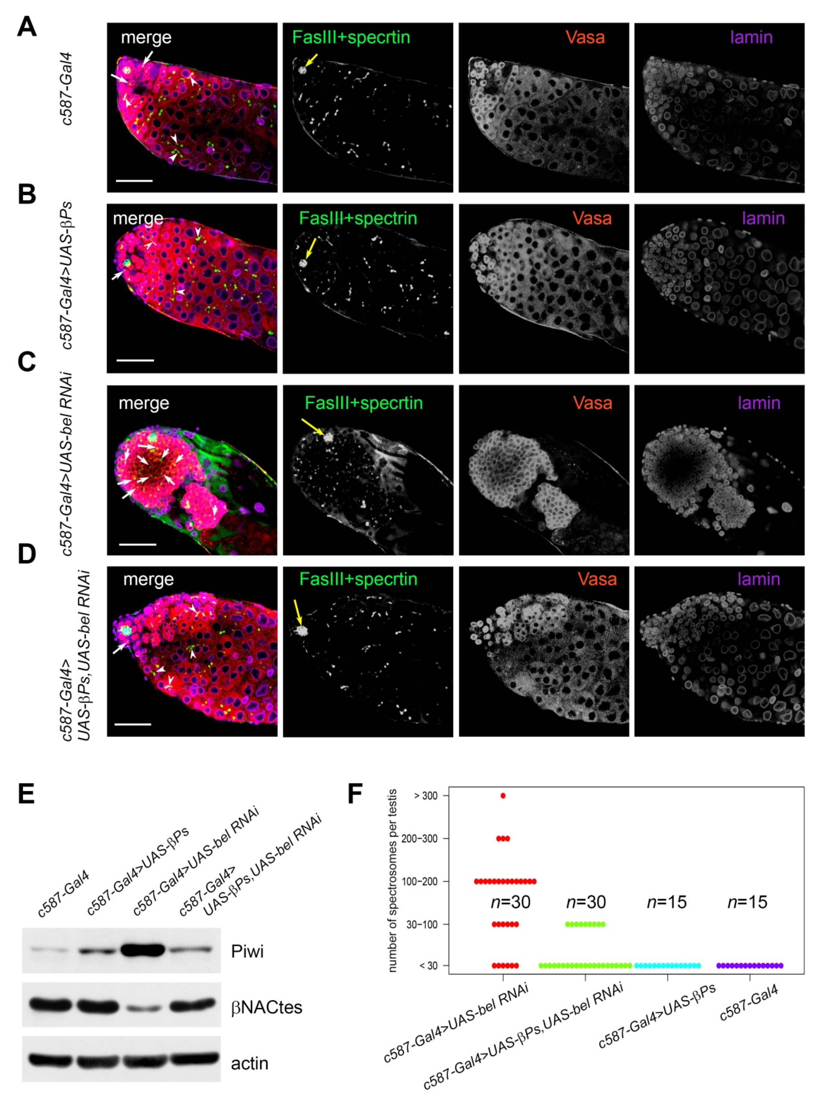 Cells 09 00550 g003