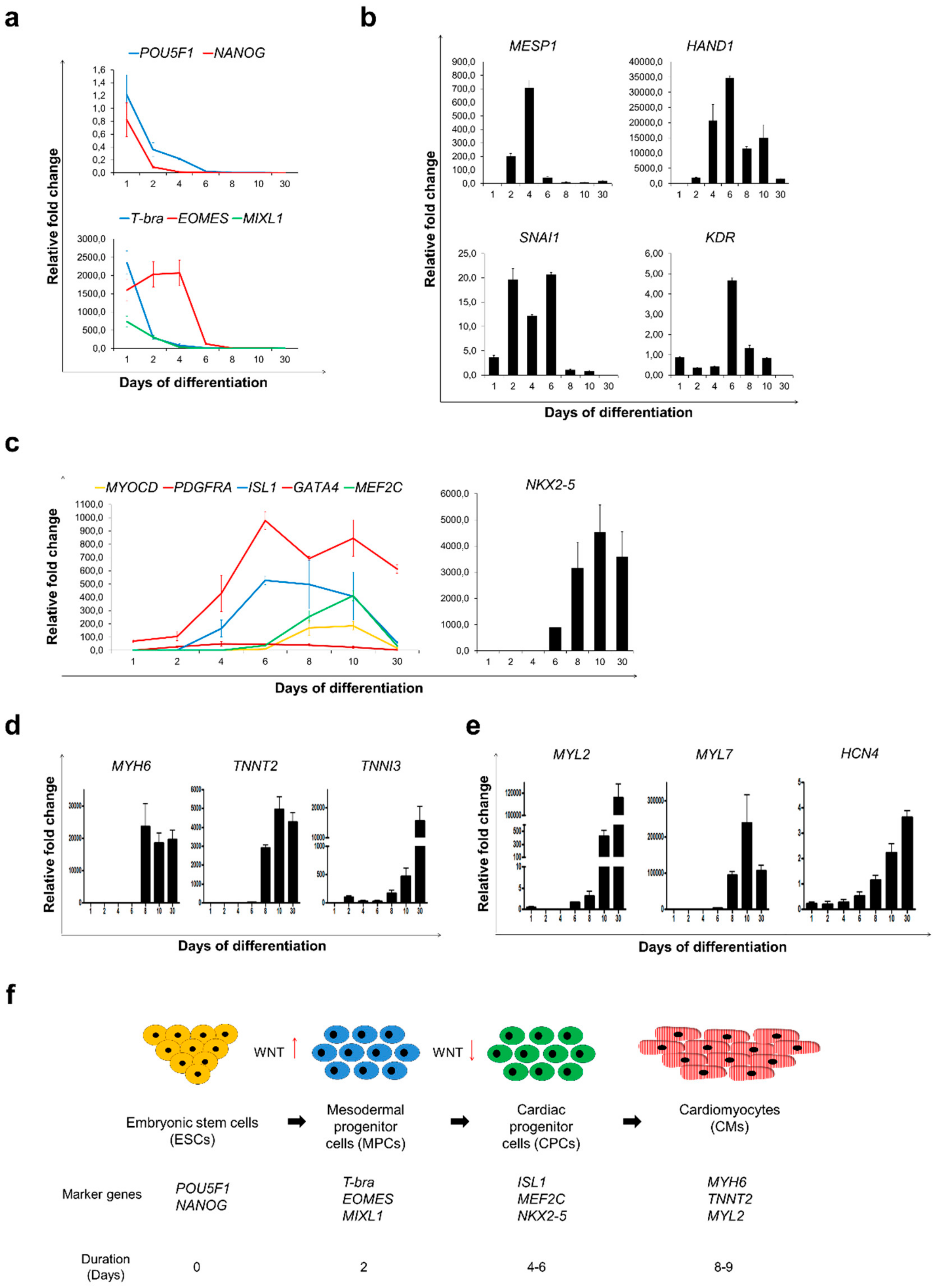 Cells 09 00554 g002 Cells 09 00554 g002