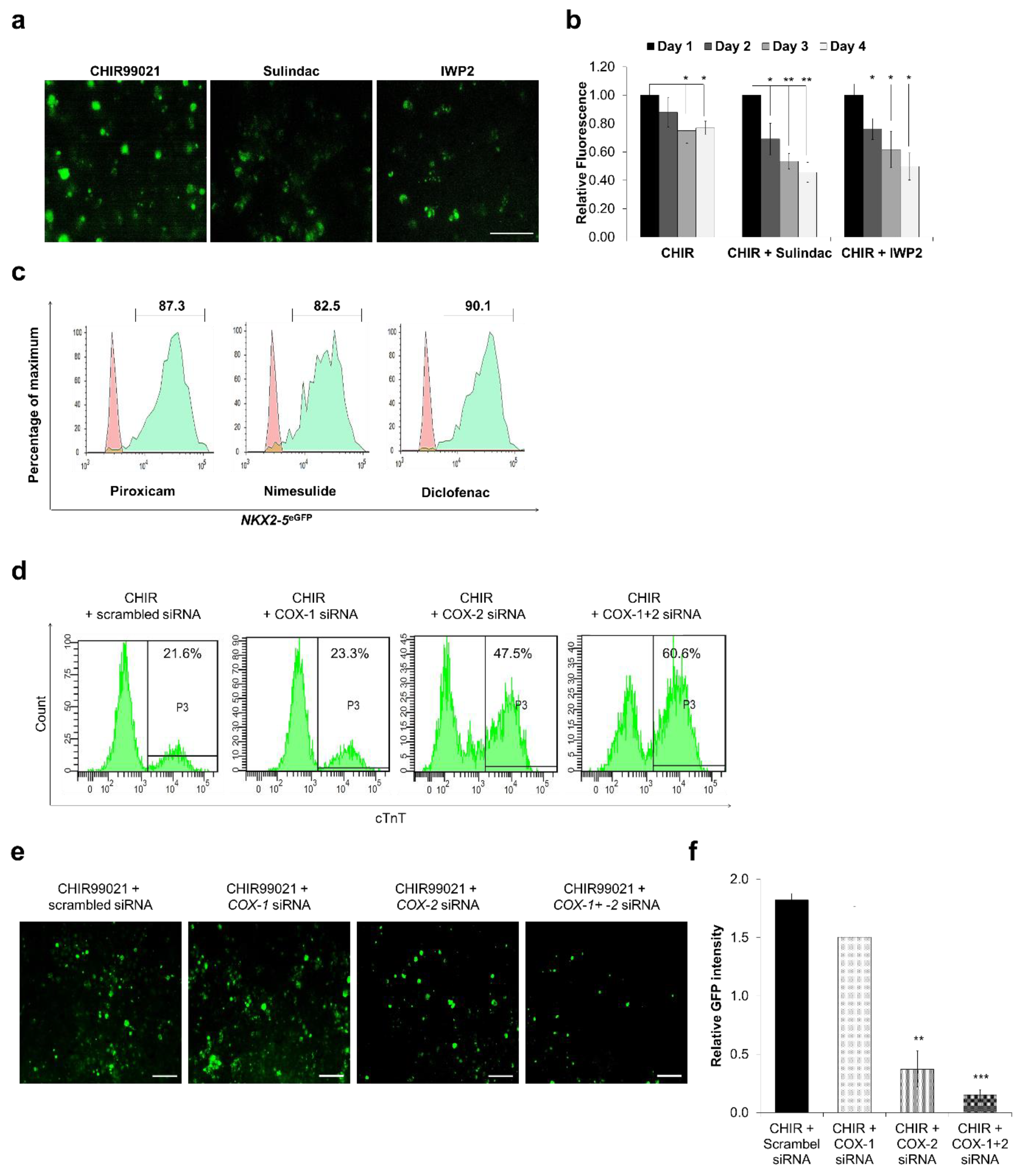 Cells 09 00554 g005 Cells 09 00554 g005