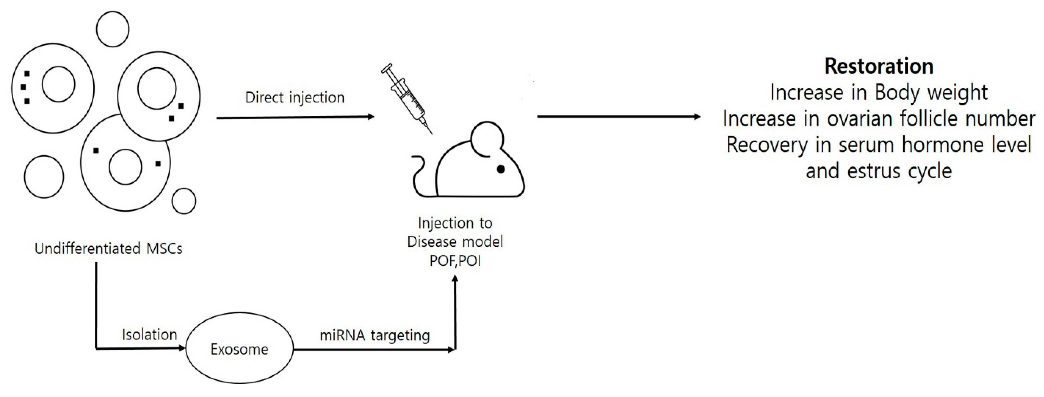 Cells 09 00557 g002 Cells 09 00557 g002