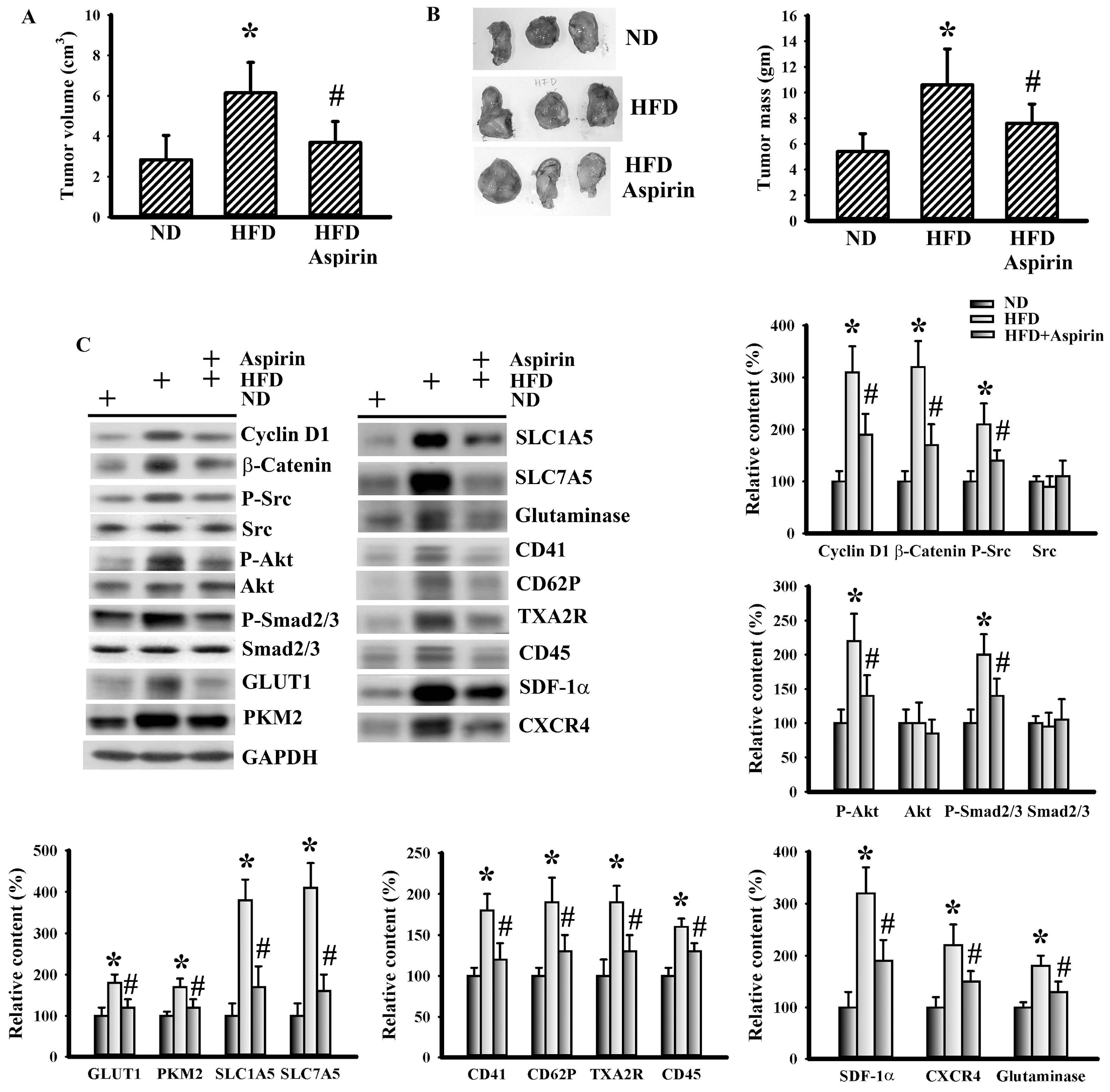 Cells 09 00569 g005 Cells 09 00569 g005