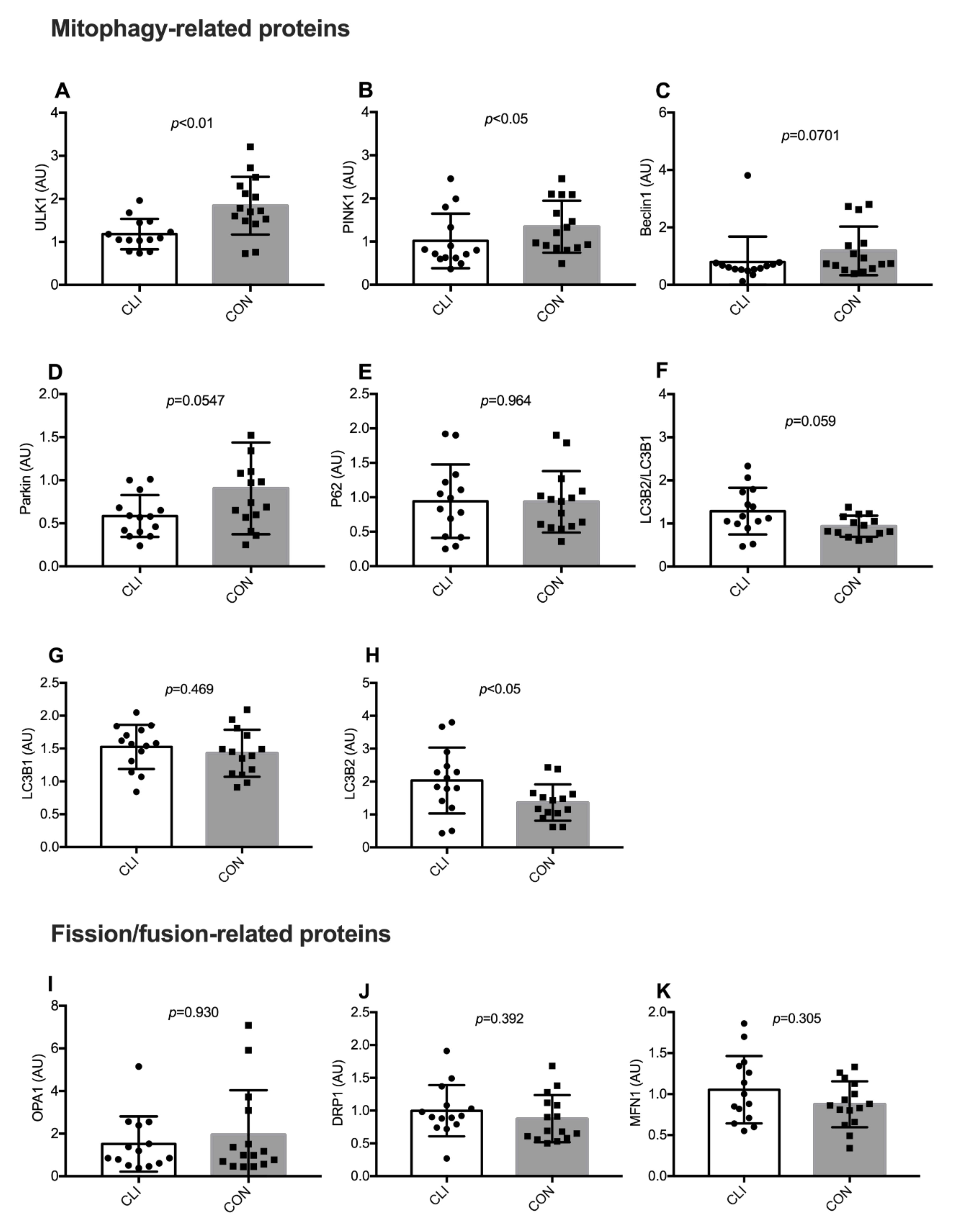Cells 09 00570 g008 Cells 09 00570 g008