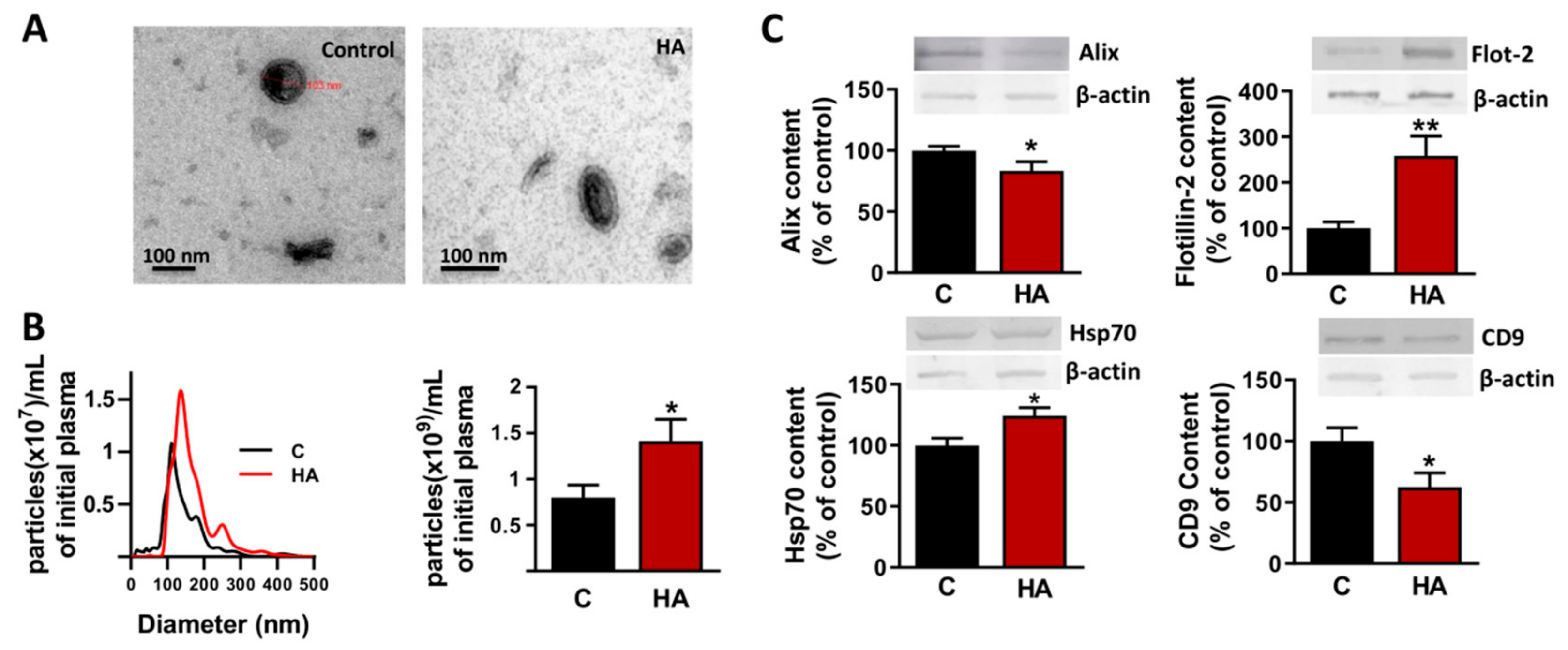 Cells 09 00572 g002 Cells 09 00572 g002