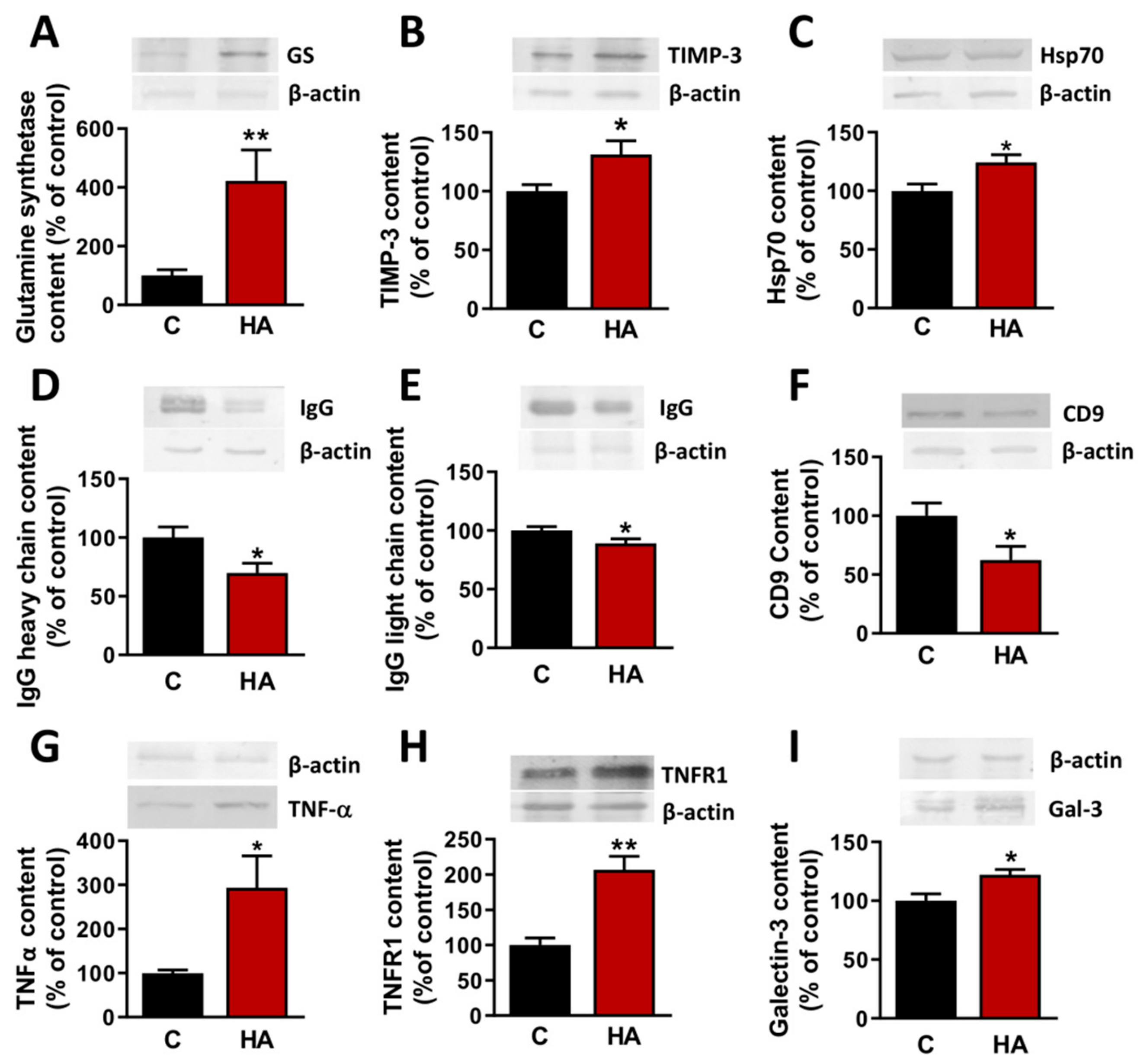 Cells 09 00572 g004 Cells 09 00572 g004