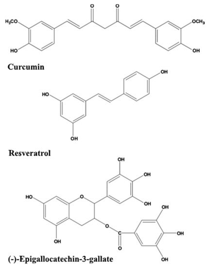 An Overview of Crucial Dietary Substances and Their Modes of