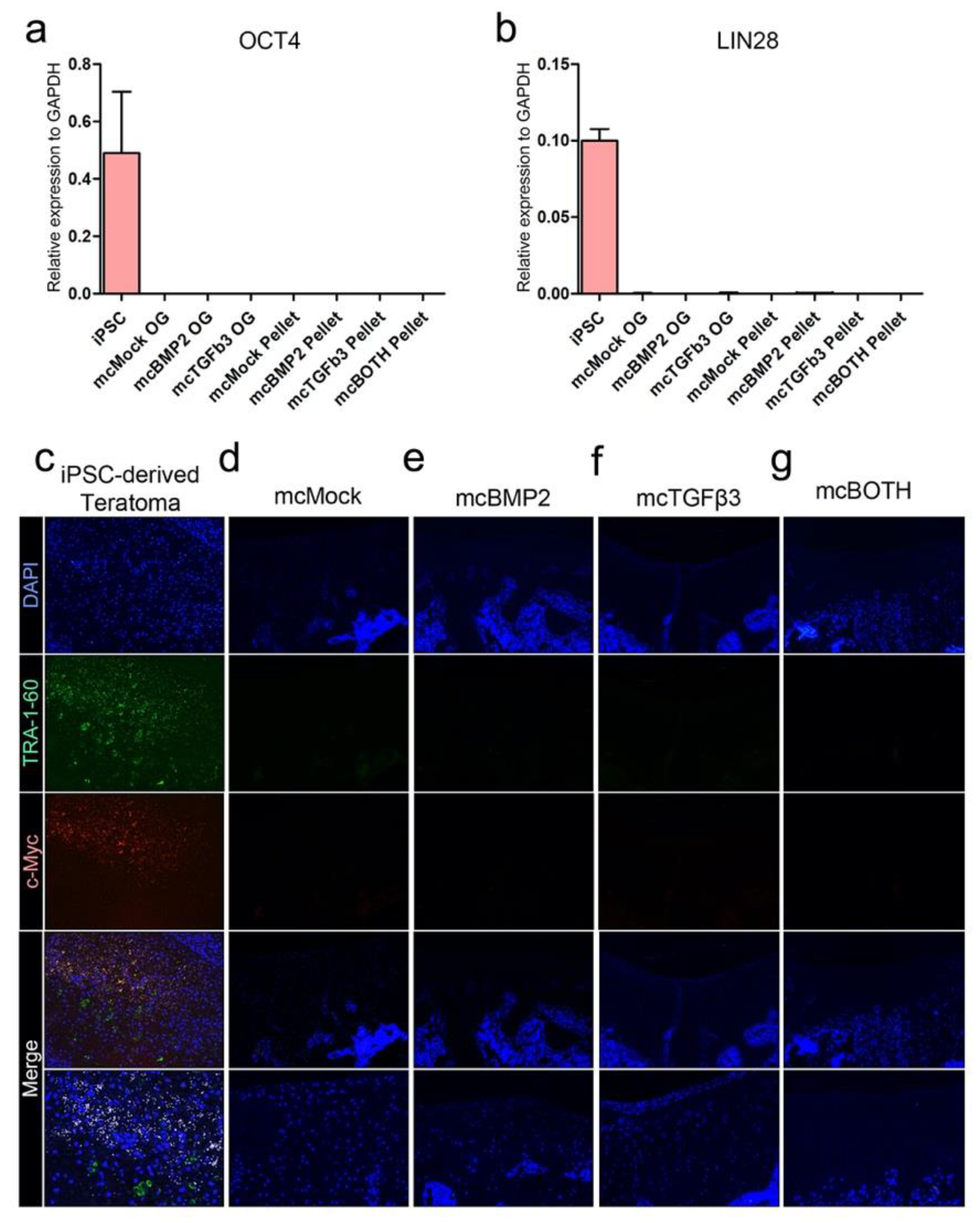 Cells 09 00582 g007 Cells 09 00582 g007