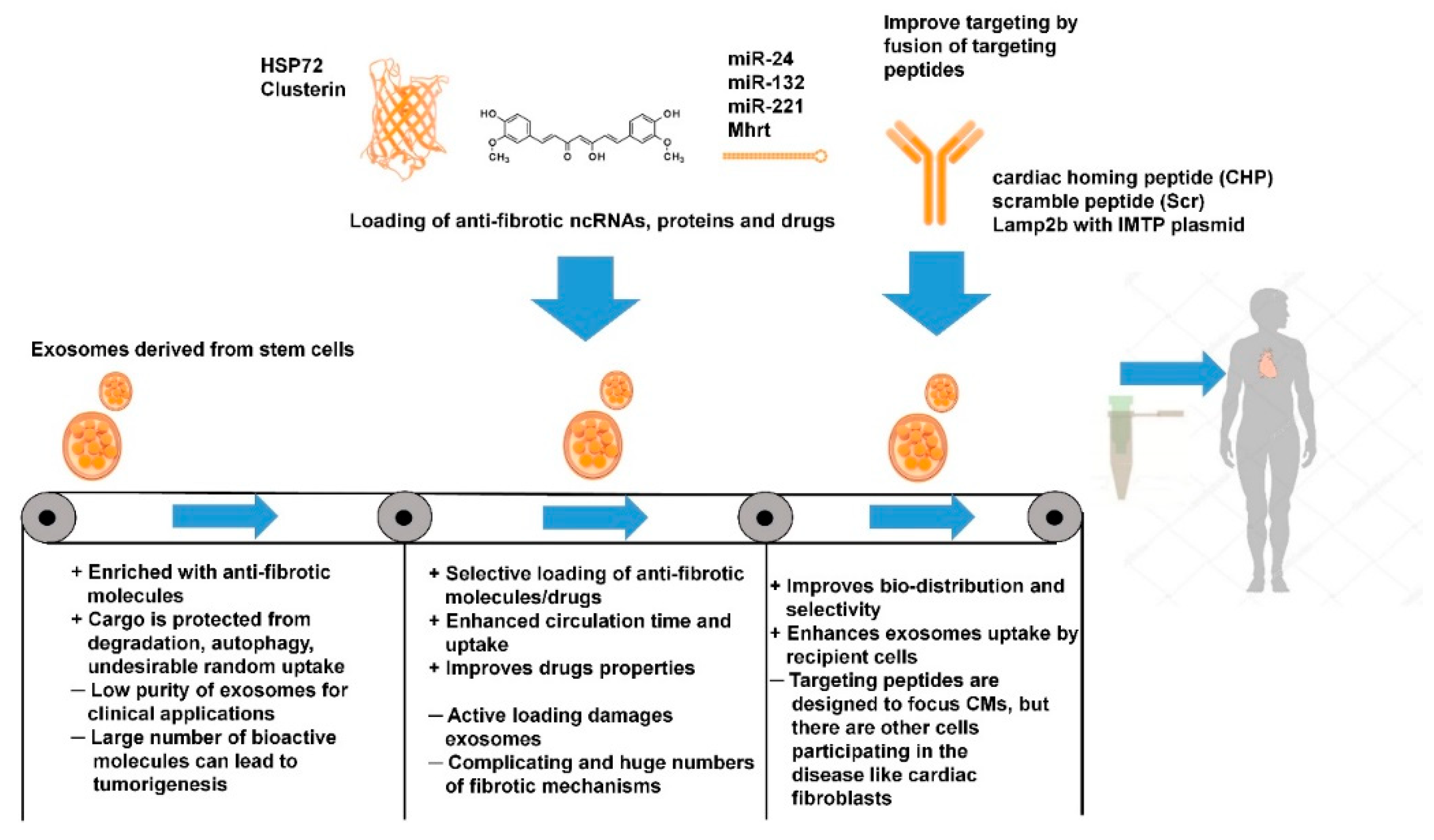Cells 09 00592 g005 Cells 09 00592 g005