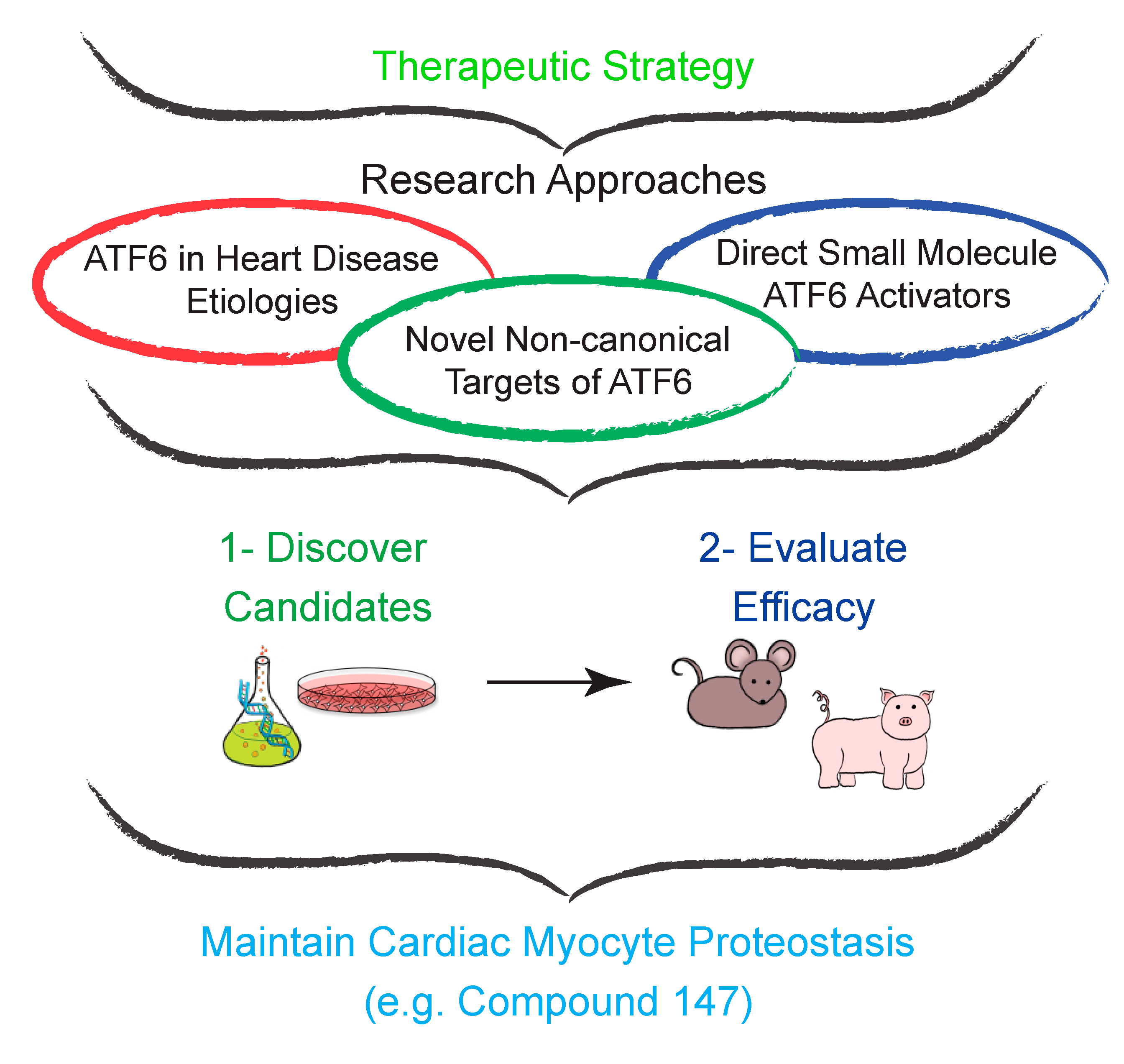 Cells 09 00602 g004 Cells 09 00602 g004