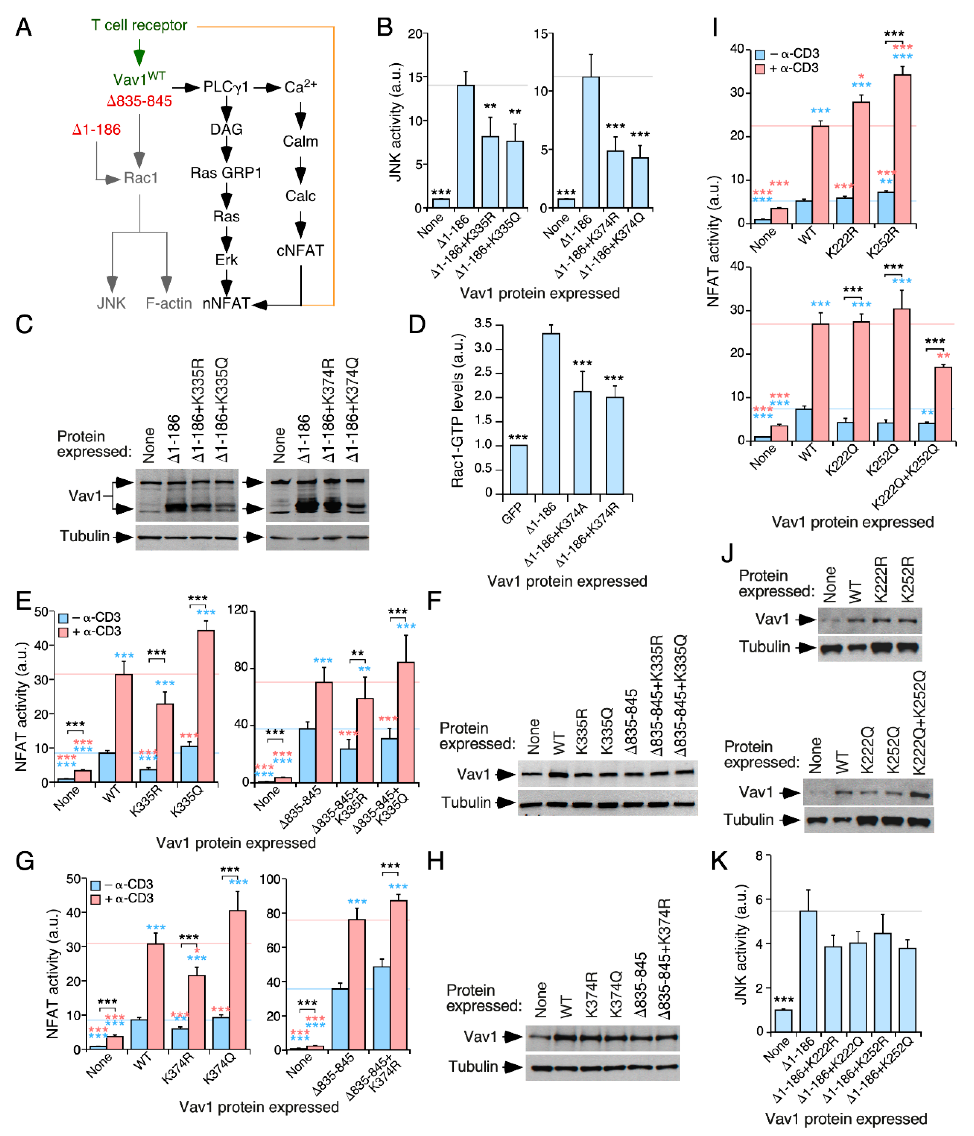 Cells 09 00609 g003 Cells 09 00609 g003