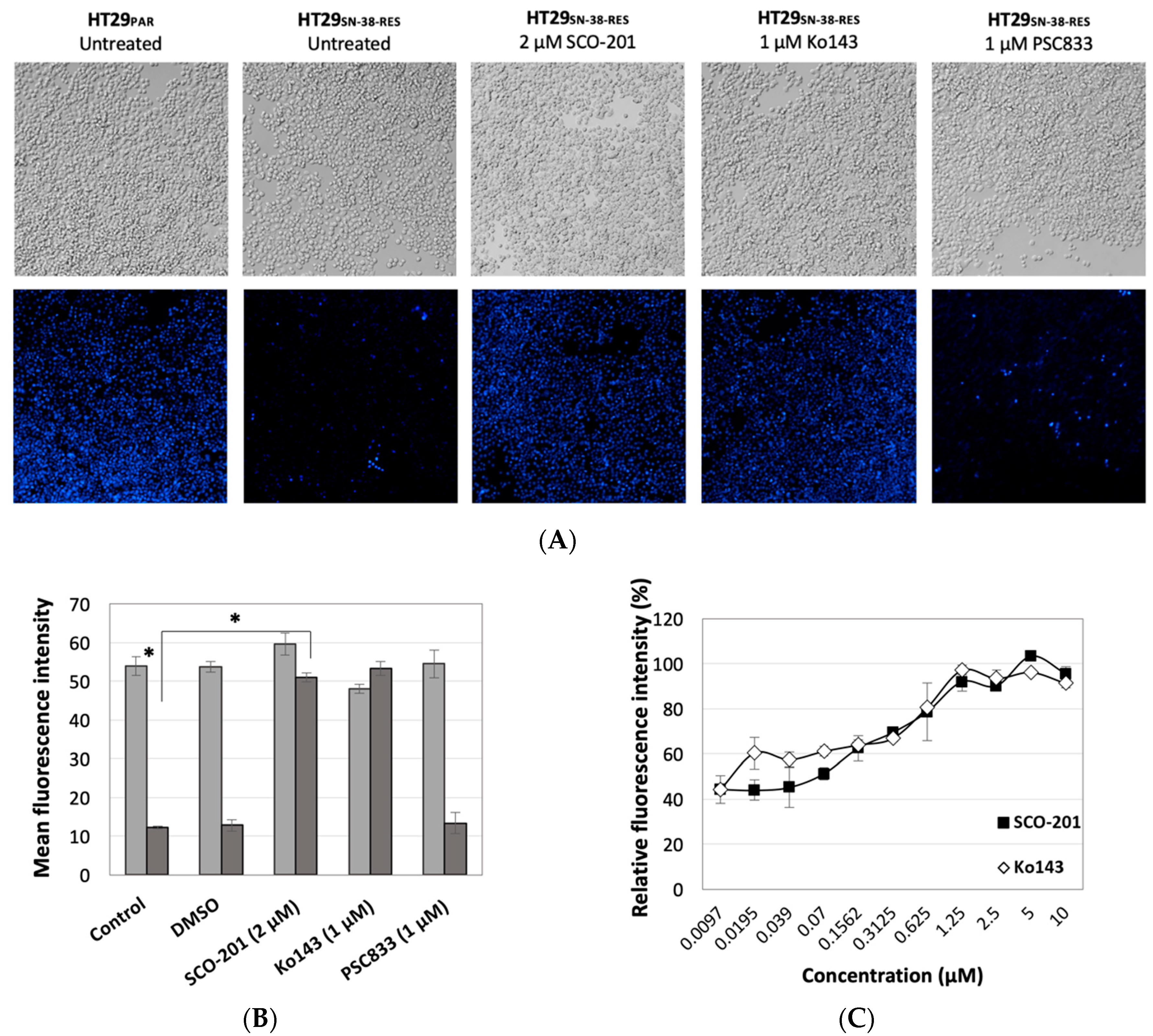 Cells 09 00613 g004 Cells 09 00613 g004