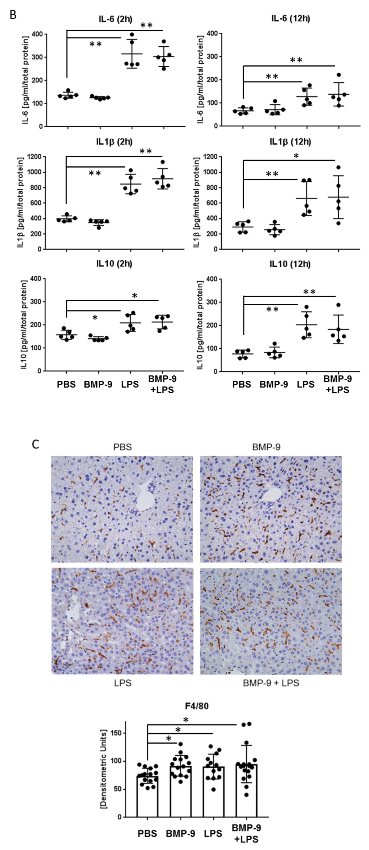 Cells 09 00617 g006b