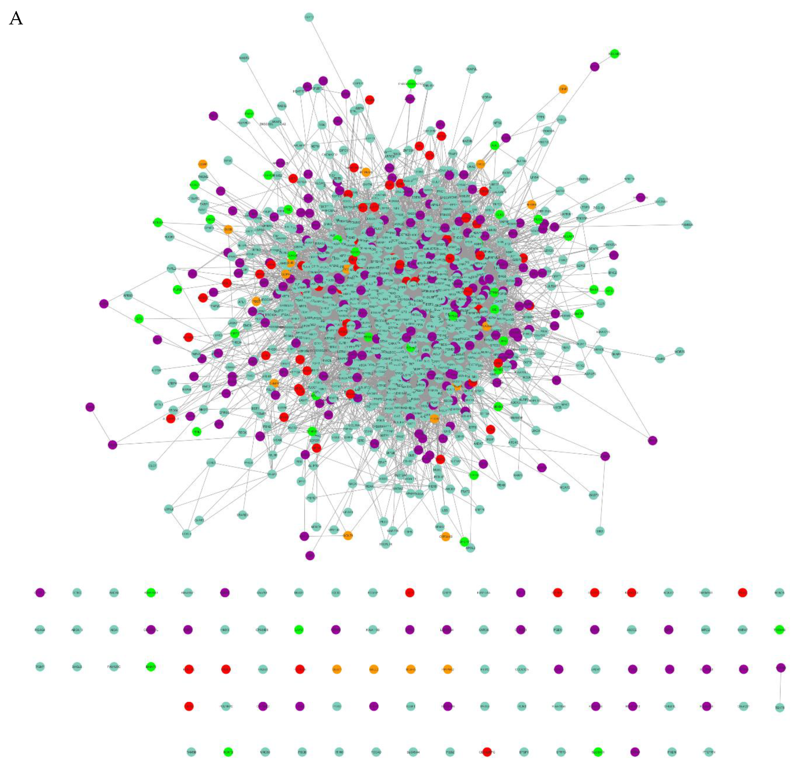 Cells 09 00619 g004a Cells 09 00619 g004a