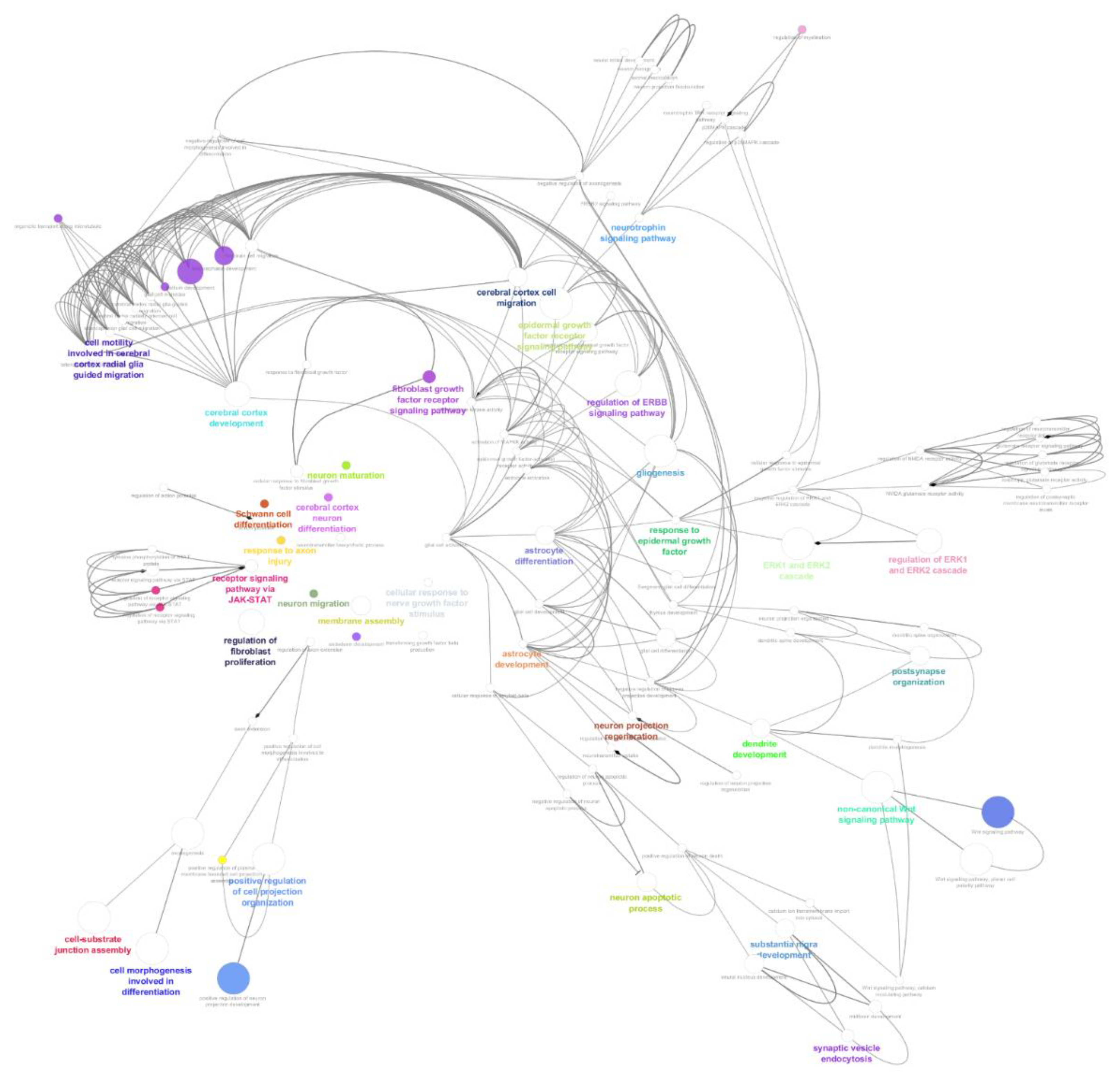Cells 09 00619 g005 Cells 09 00619 g005