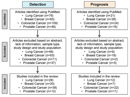 Cells Free Full Text Dna Methylation Based Testing In Liquid Biopsies As Detection And Prognostic Biomarkers For The Four Major Cancer Types Html Cells Free Full Text Dna Methylation Based Testing In Liquid Biopsies As Detection And Prognostic Biomarkers For The Four Major Cancer Types Html
