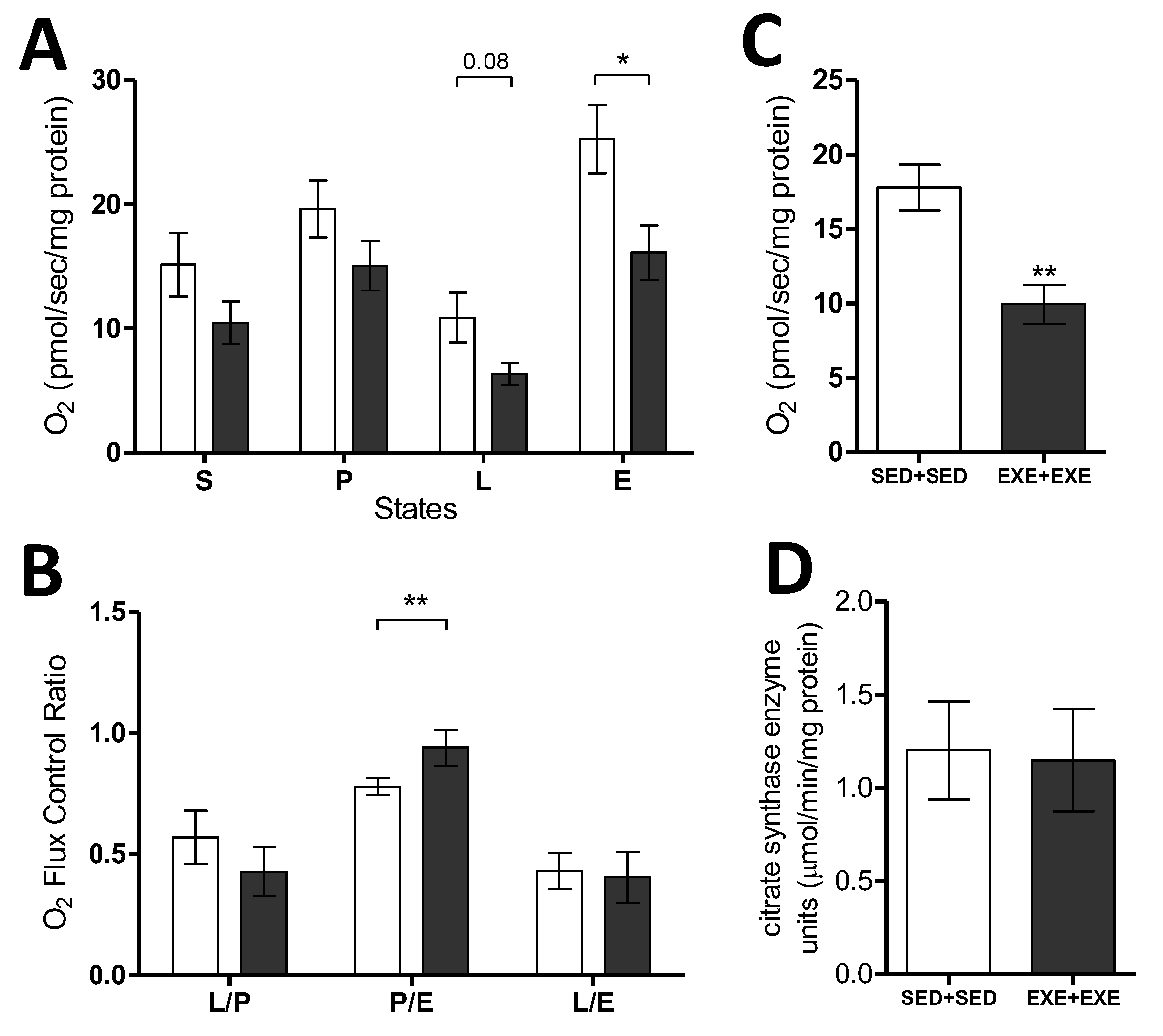 Cells 09 00628 g002 Cells 09 00628 g002