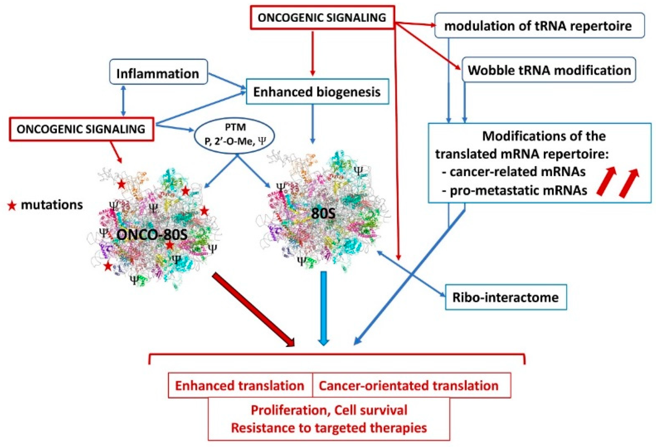 Cells 09 00629 g002 Cells 09 00629 g002