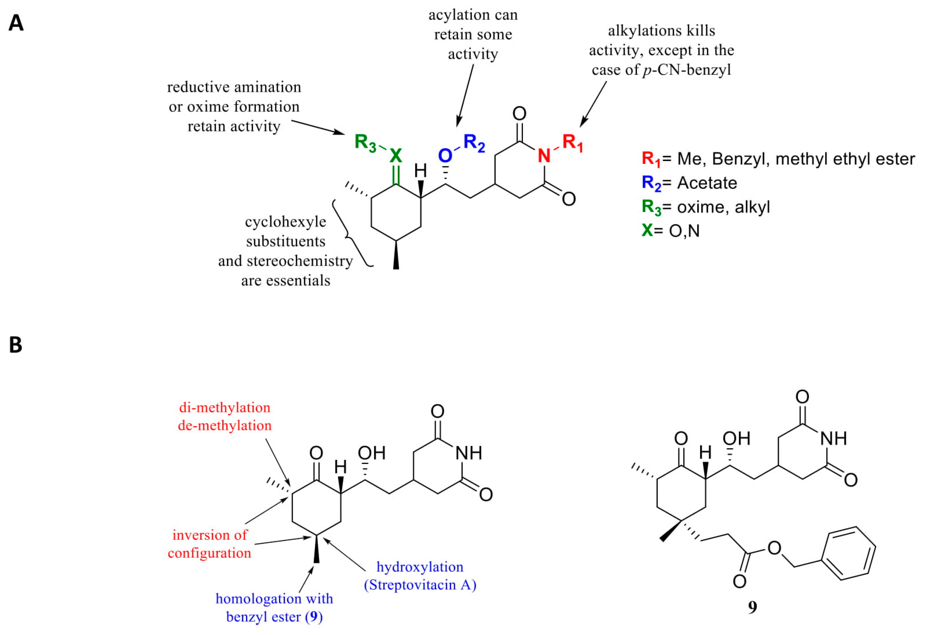 Cells 09 00629 g006 Cells 09 00629 g006