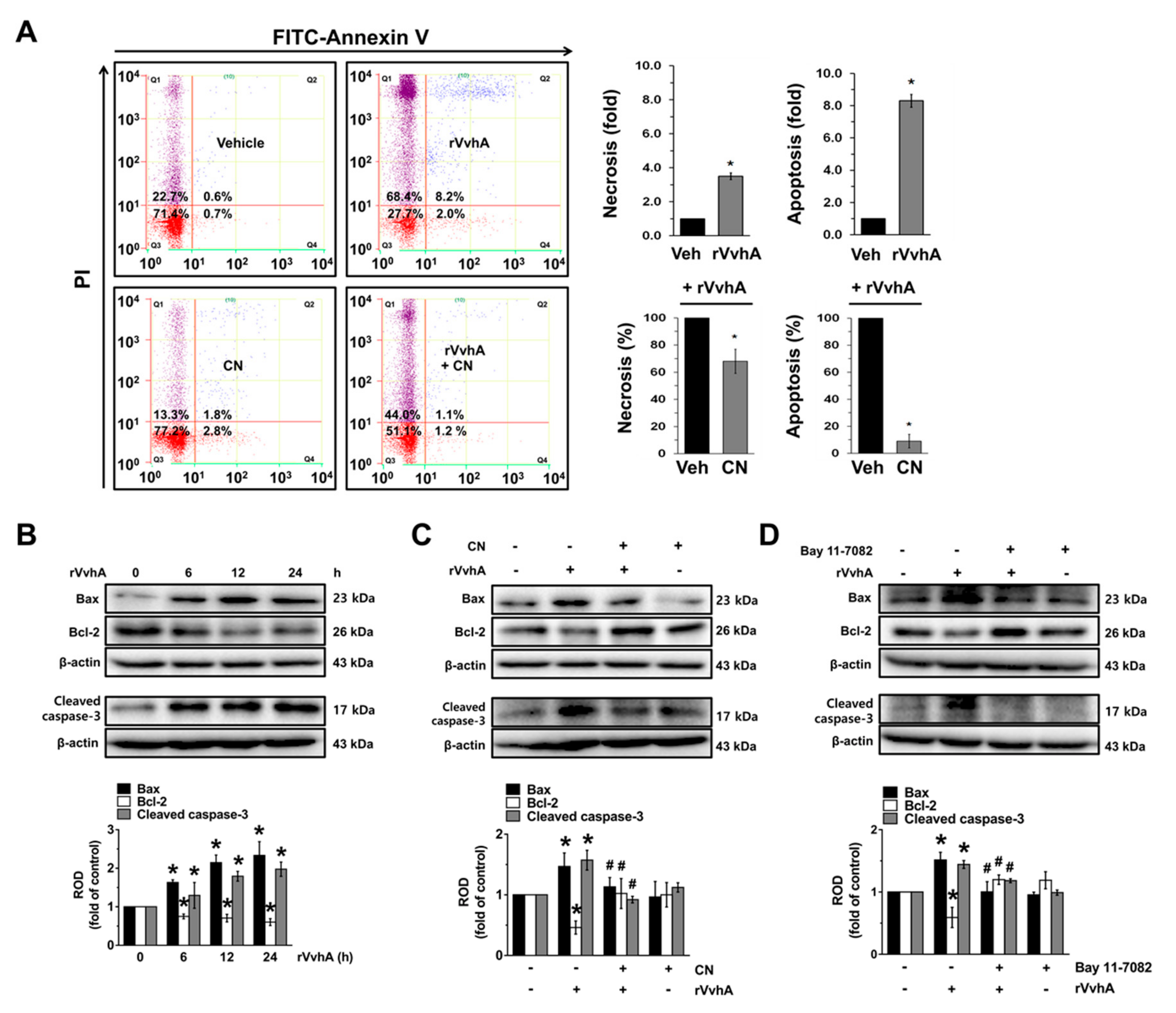 Cells 09 00631 g005 Cells 09 00631 g005