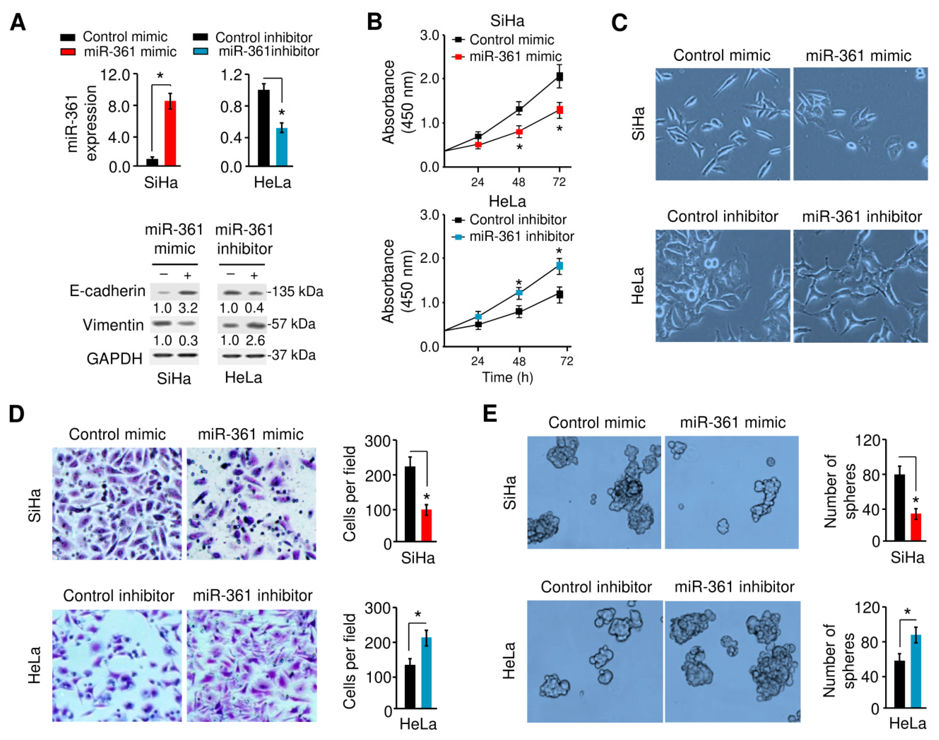 Cells 09 00632 g002 Cells 09 00632 g002