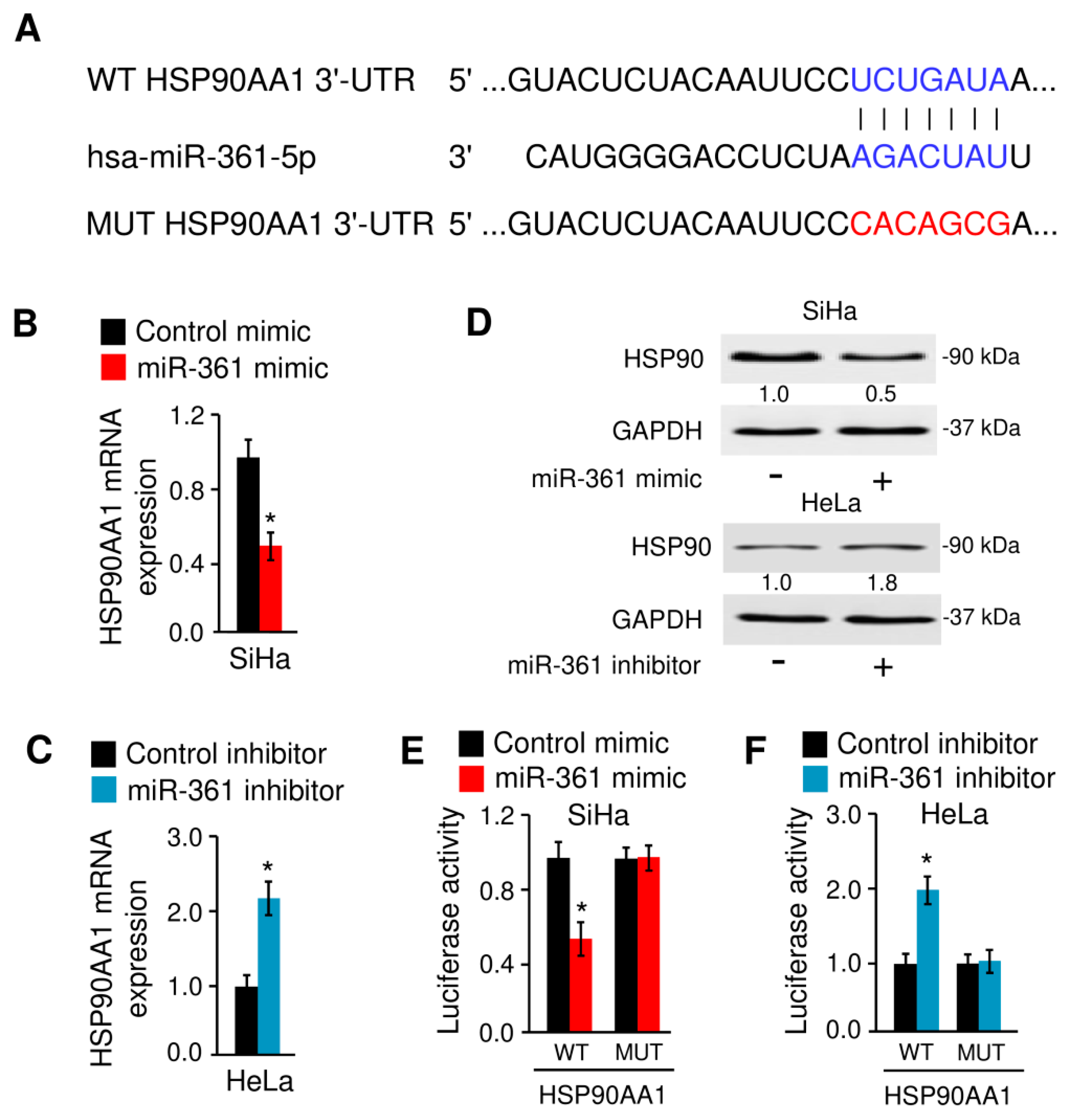 Cells 09 00632 g007 Cells 09 00632 g007