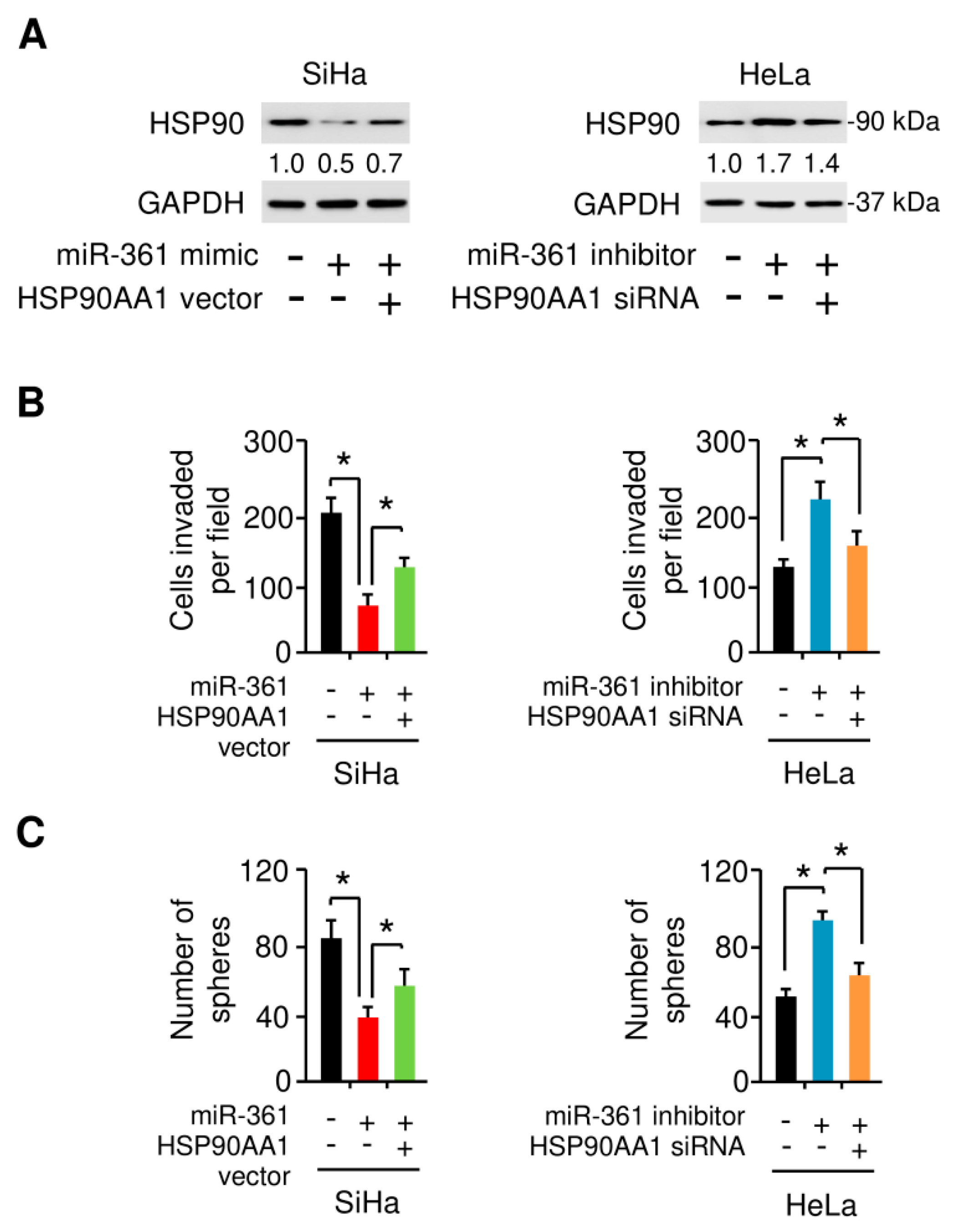 Cells 09 00632 g009 Cells 09 00632 g009