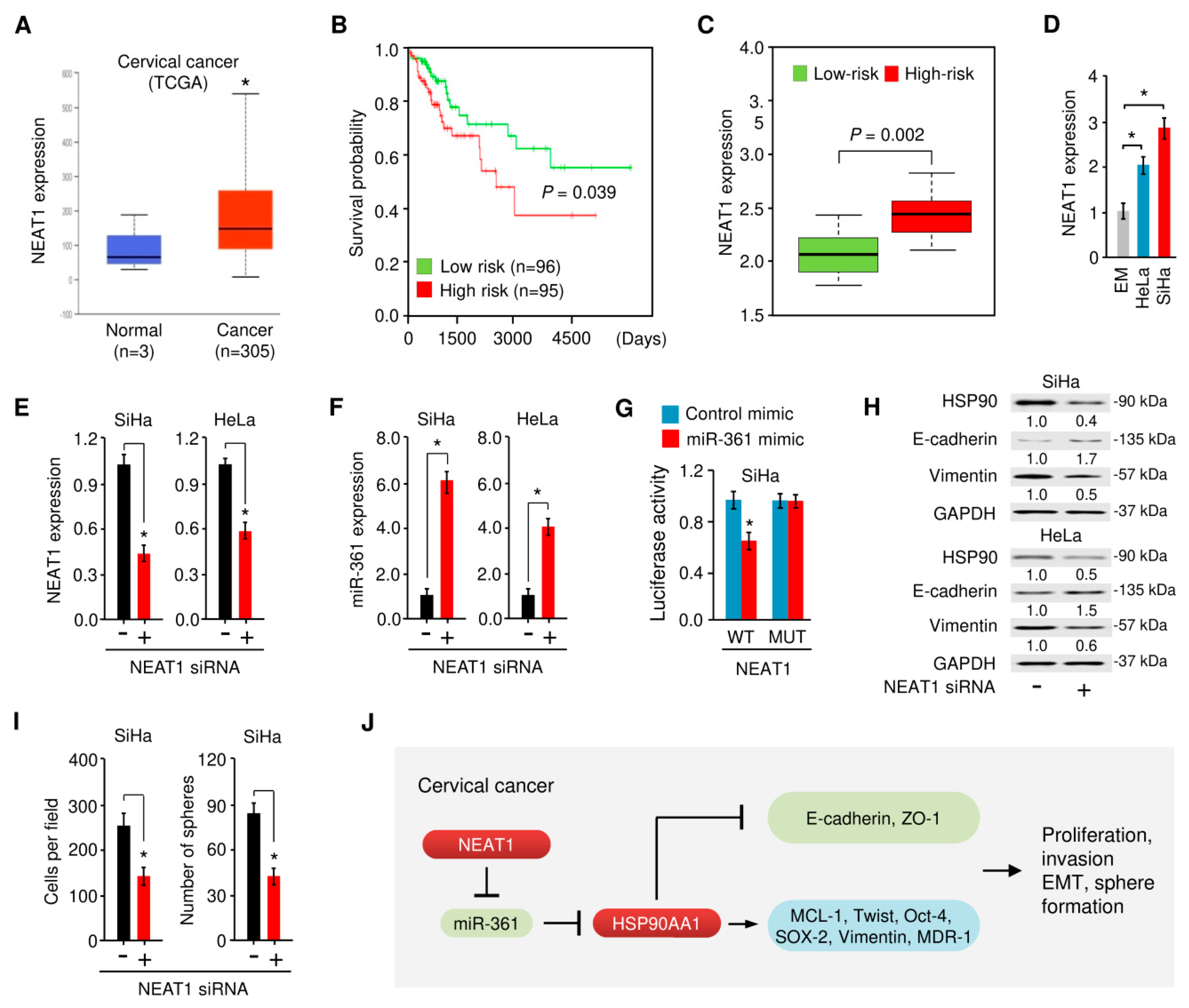 Cells 09 00632 g010 Cells 09 00632 g010