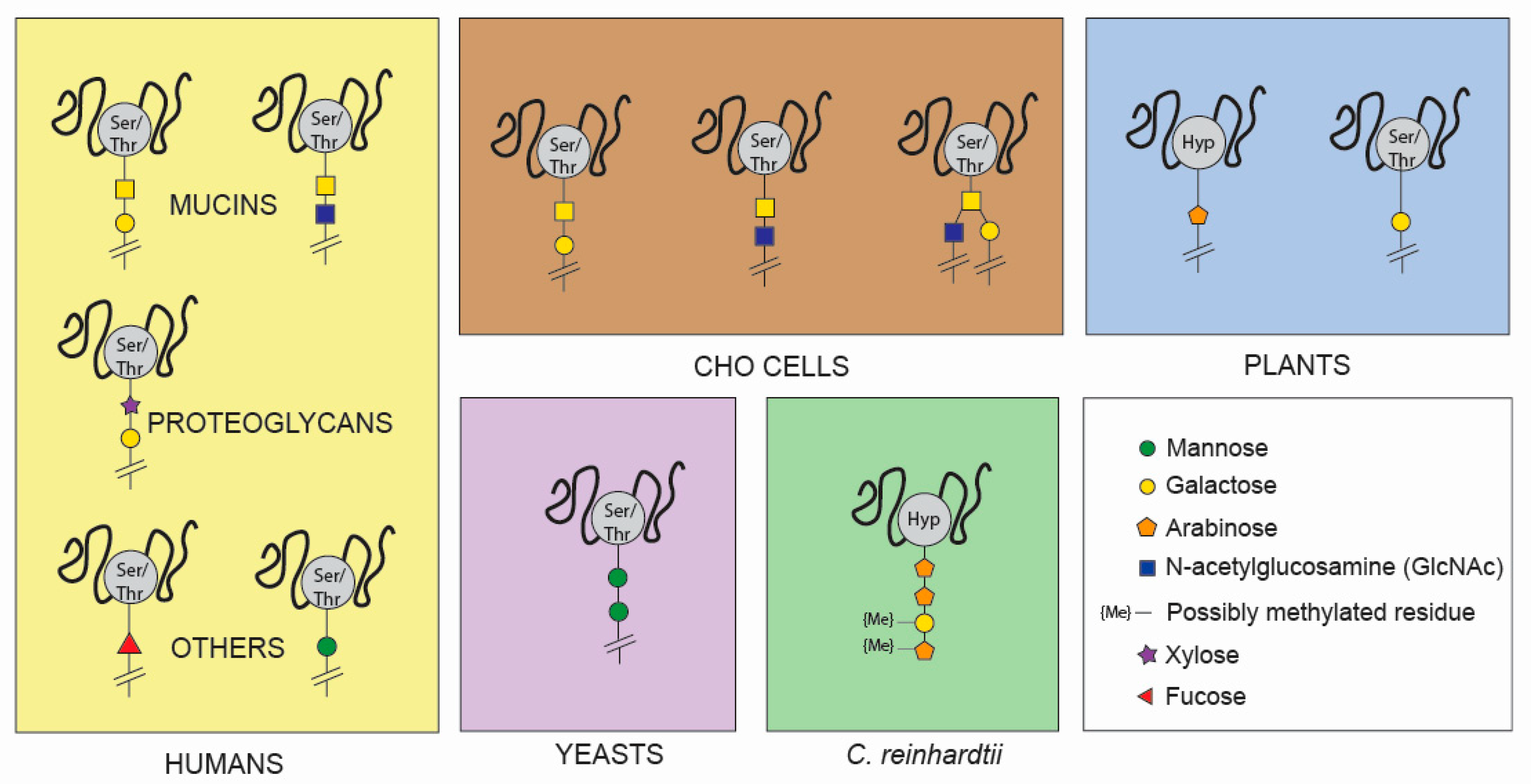 Cells 09 00633 g002 Cells 09 00633 g002