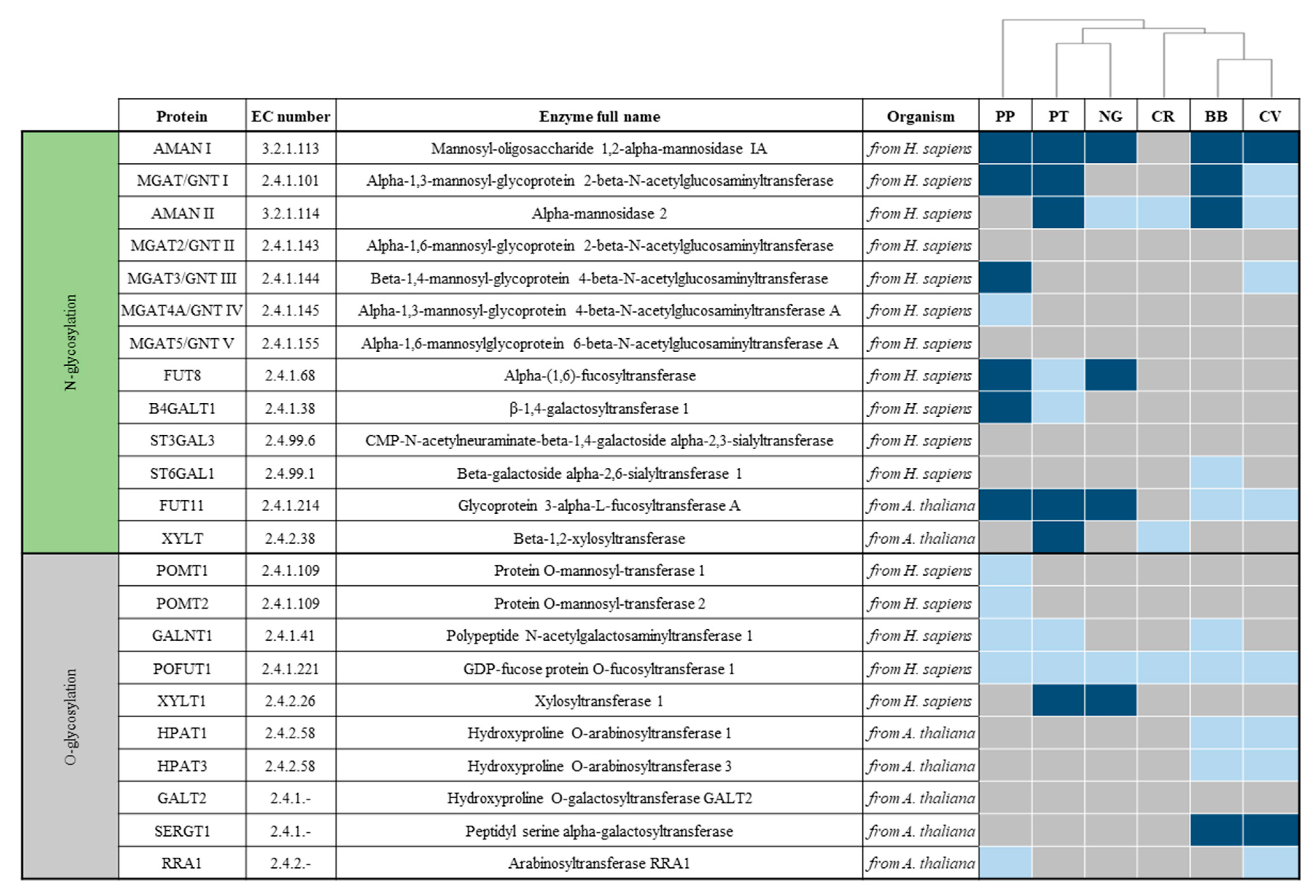 Cells 09 00633 g003 Cells 09 00633 g003