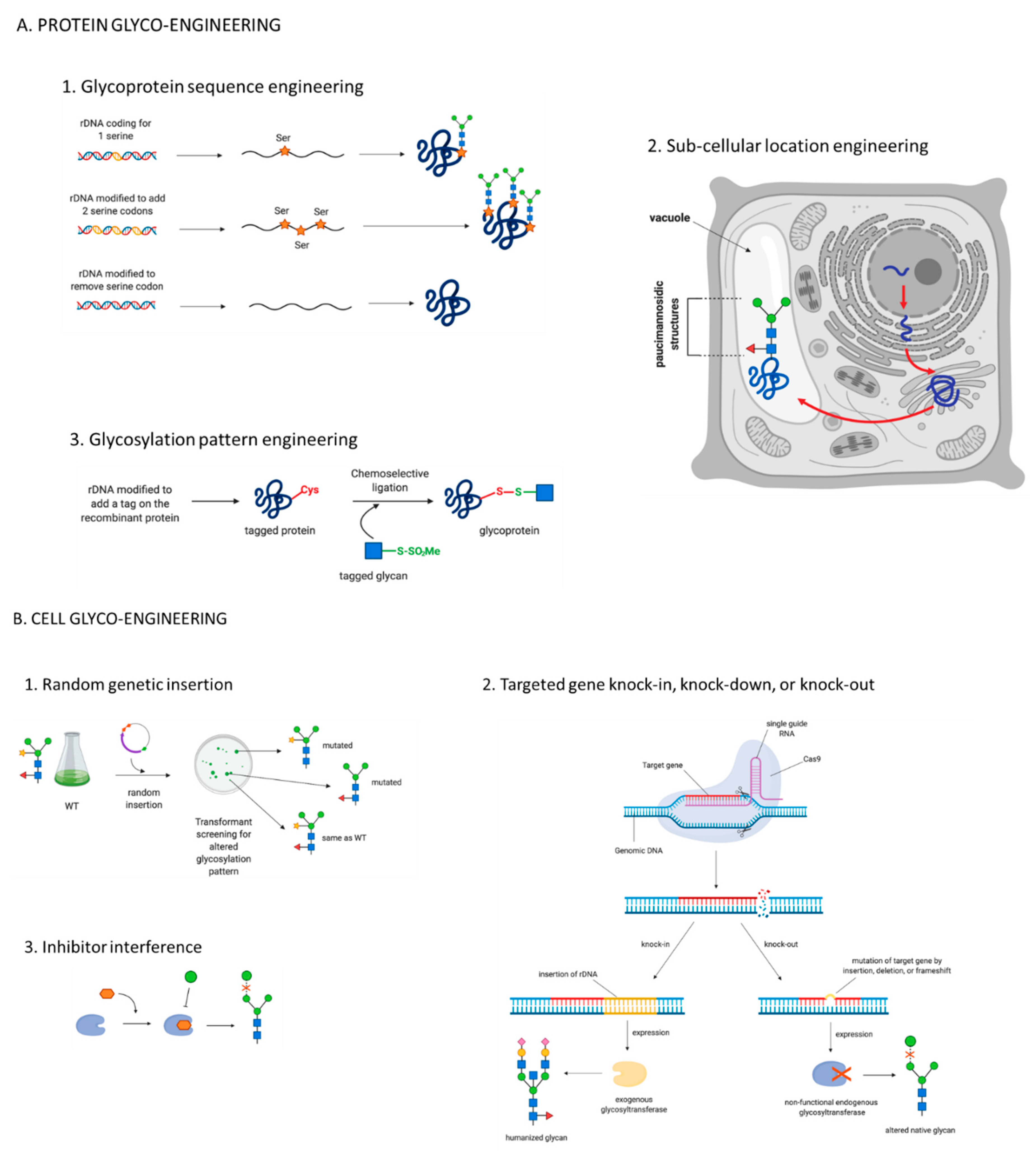Cells 09 00633 g004 Cells 09 00633 g004